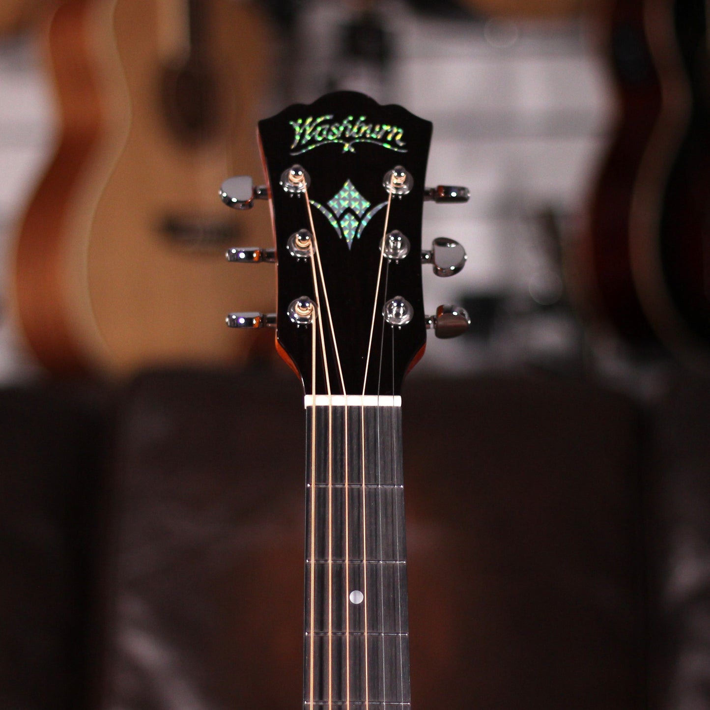 Washburn WCG12FCE
