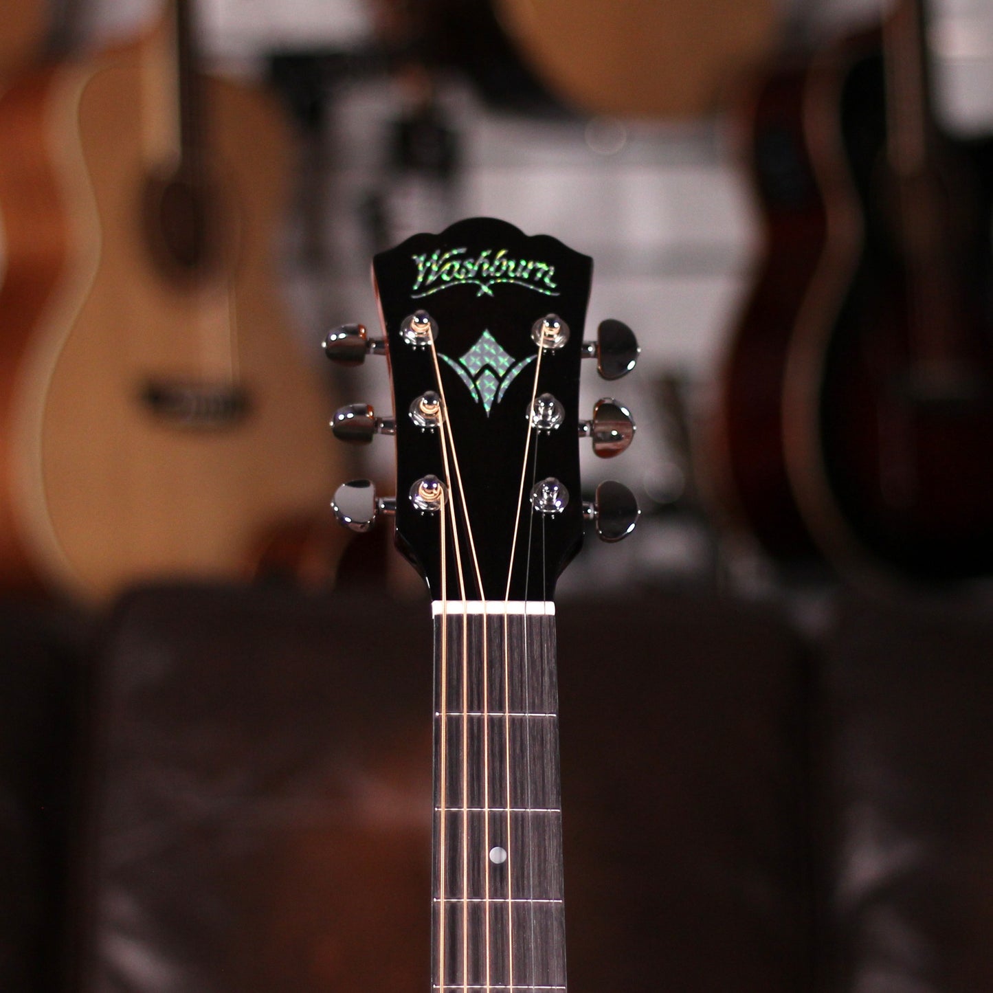 Washburn WCG10CE