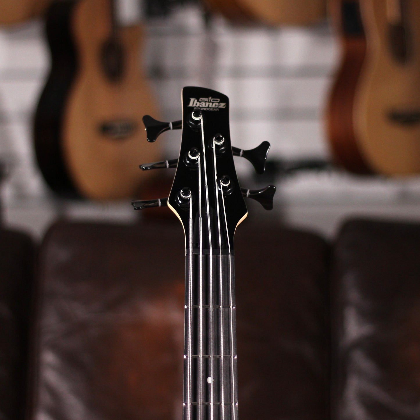 Ibanez GIO SR Bass 5 String - Spalted Maple