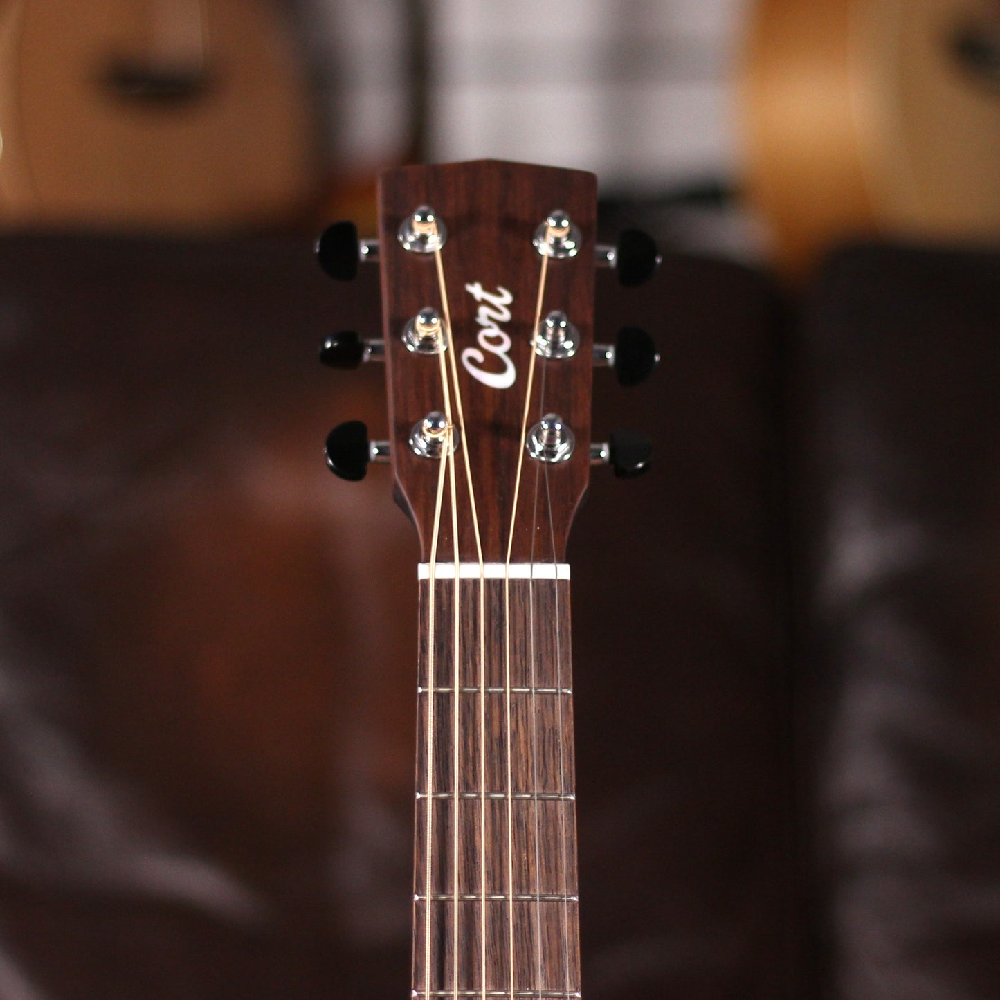 Cort Earth HV GO OP - Brown