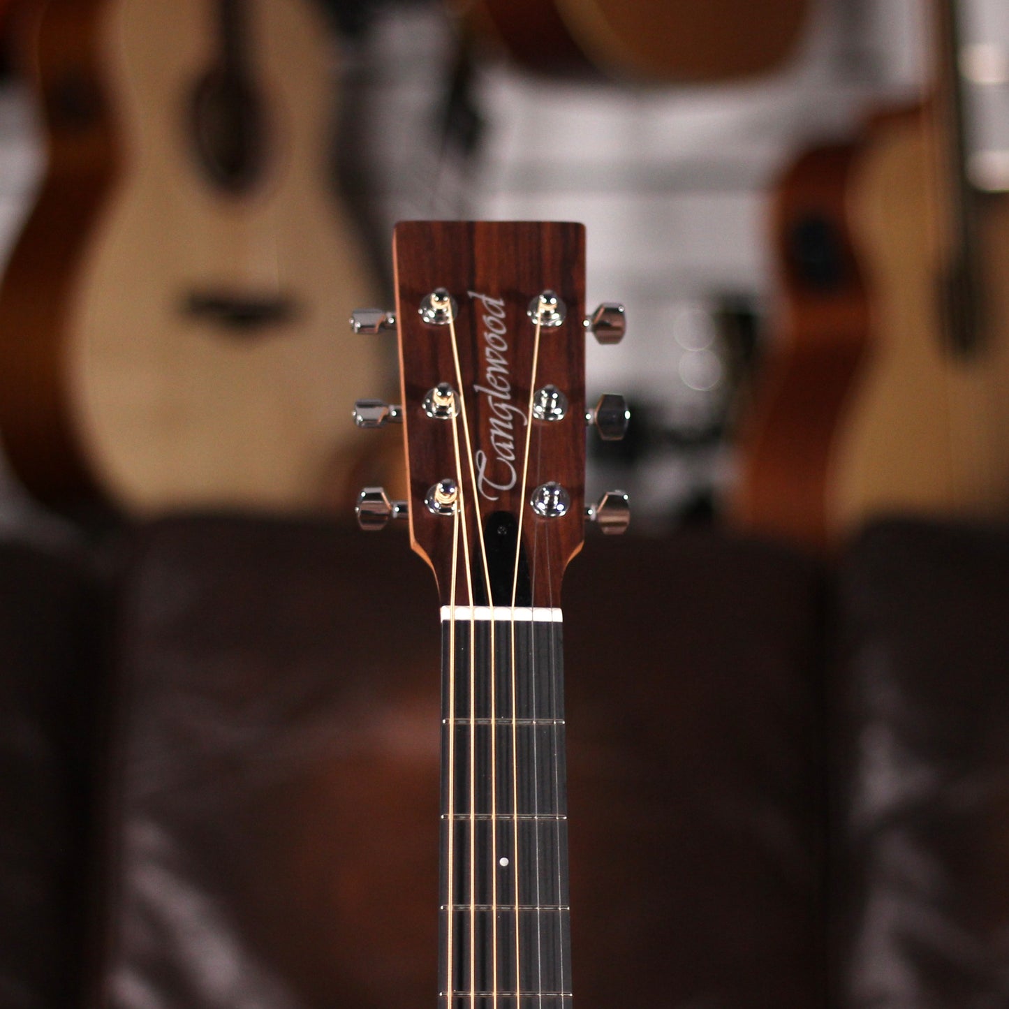 Tanglewood TM5E