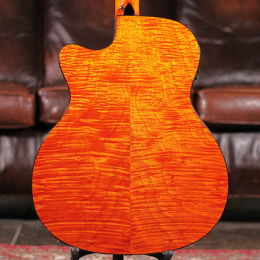 Washburn WCG12FCE