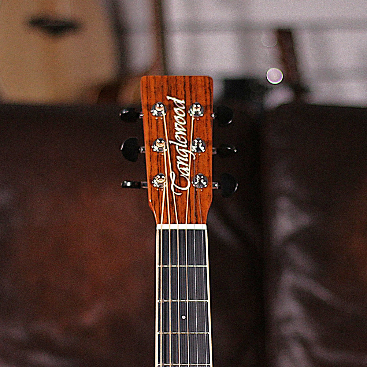 Tanglewood TRX2E
