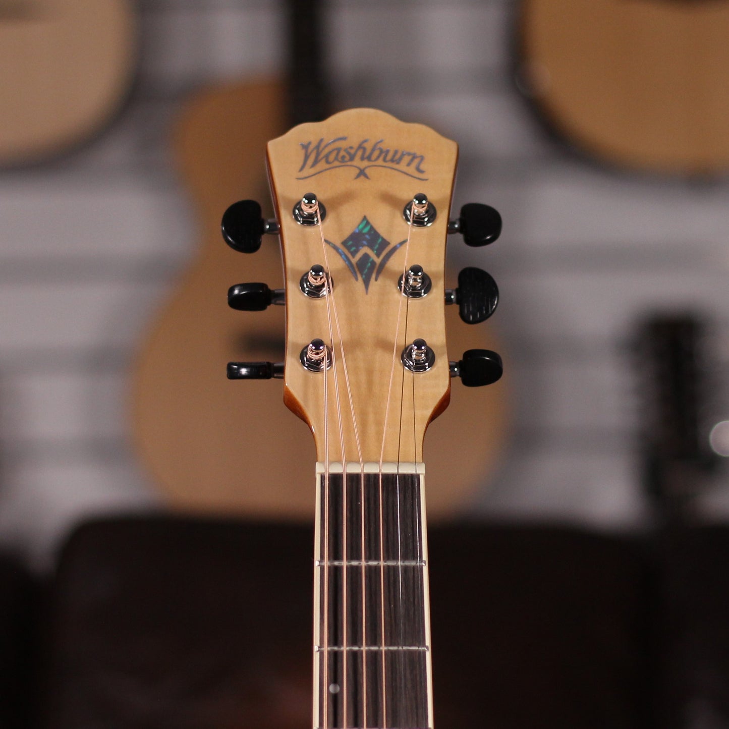 Washburn AG40CE
