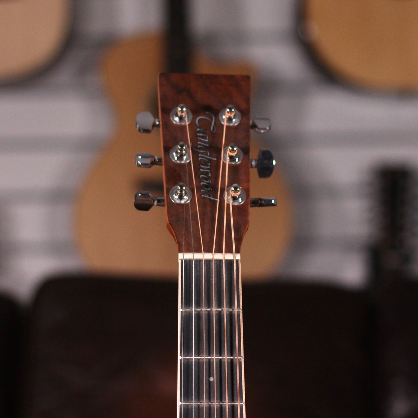 Tanglewood DBT-F-HR LH