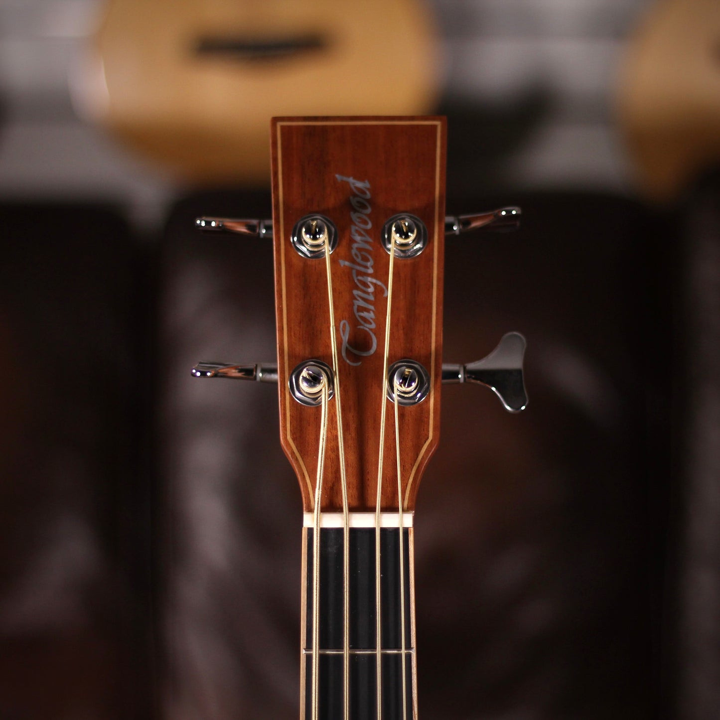 Tanglewood TW8 AB Acoustic Bass