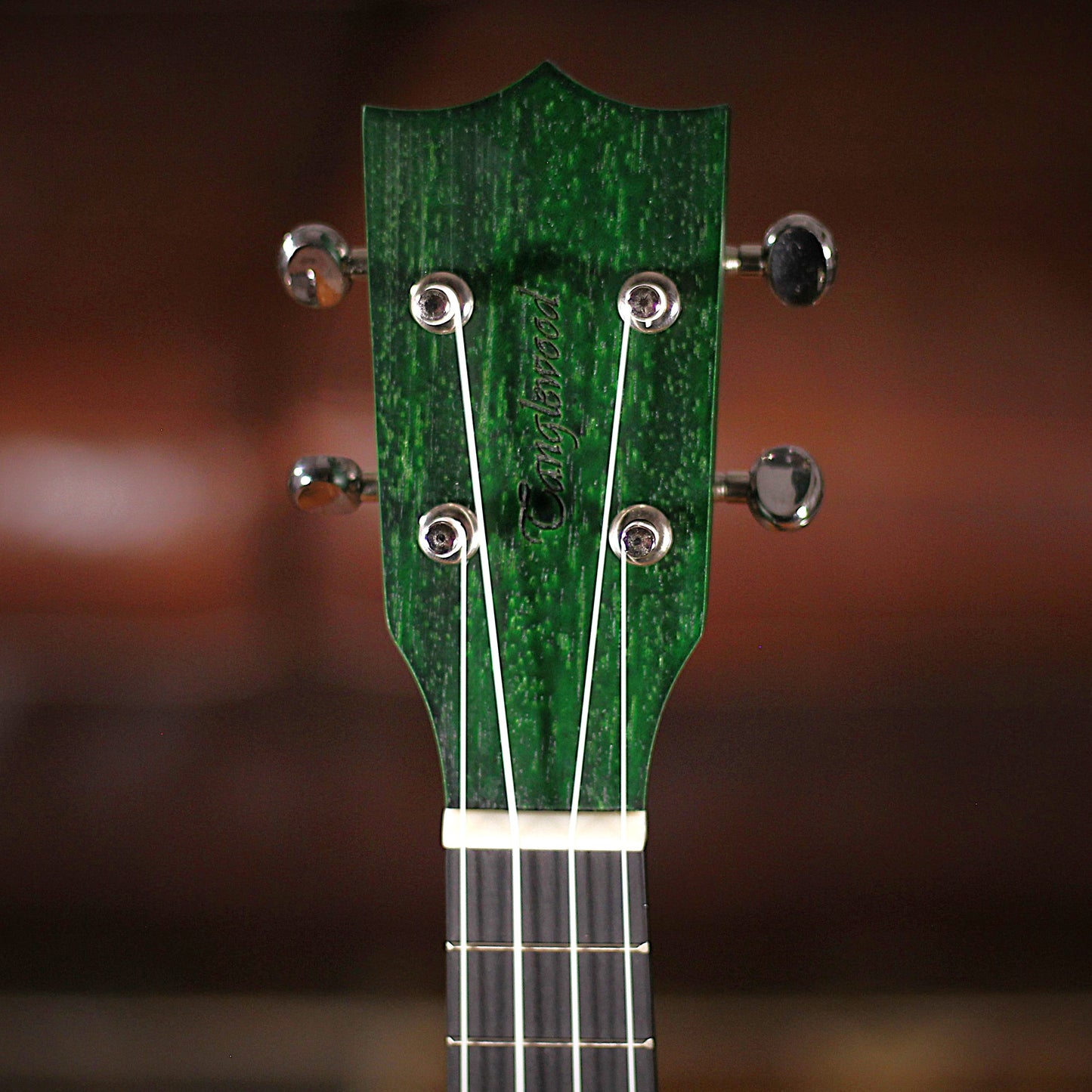 Tanglewood TWT1 Soprano FG