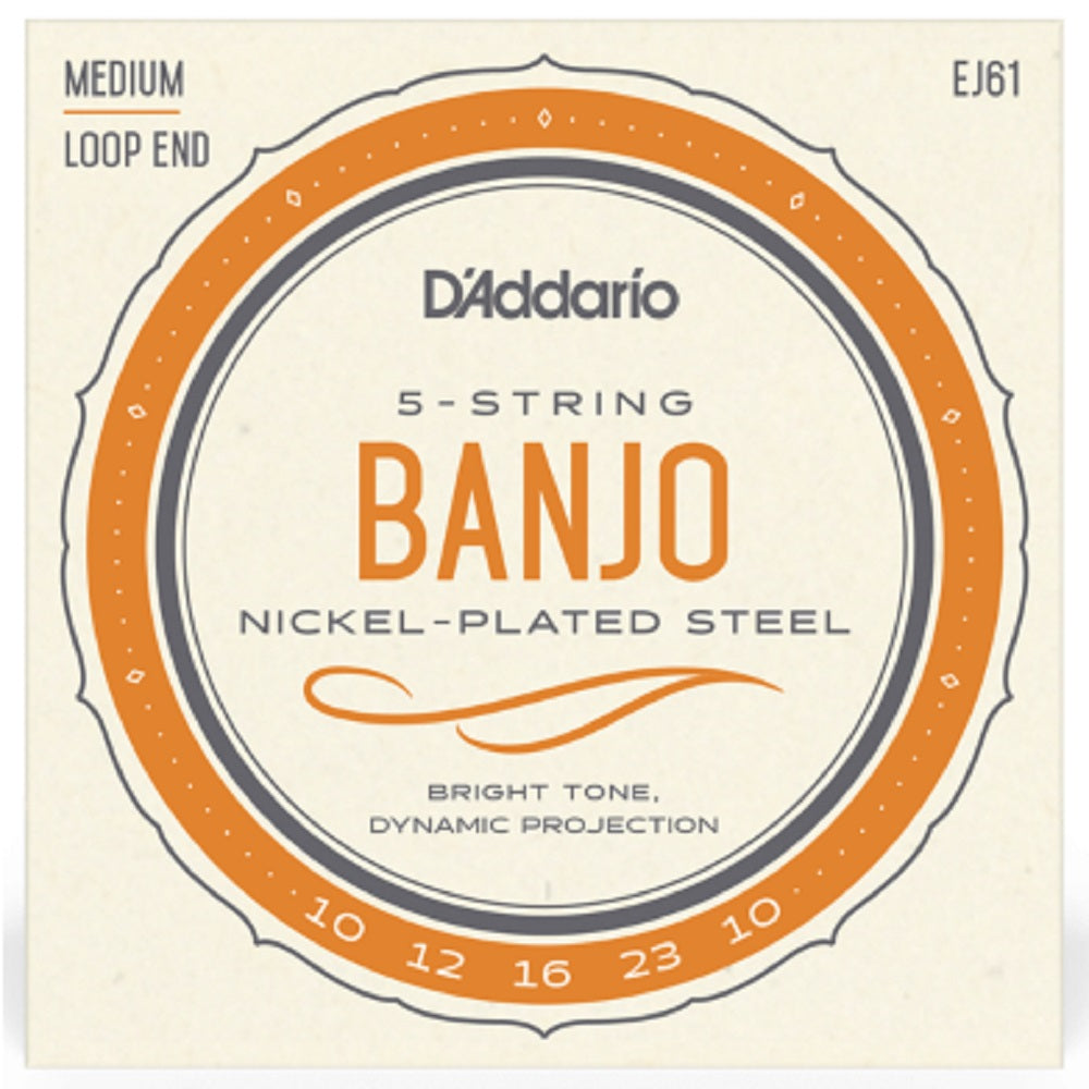 D'Addario EJ61 G Banjo 10-23 - Folk Strings available at Foulds Guitars Derby
