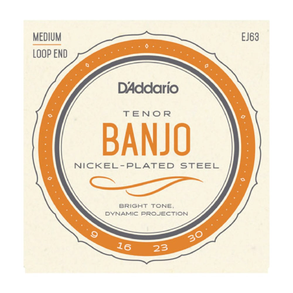 D'Addario EJ63 Tenor Banjo 9-30 - Folk Strings available at Foulds Guitars Derby