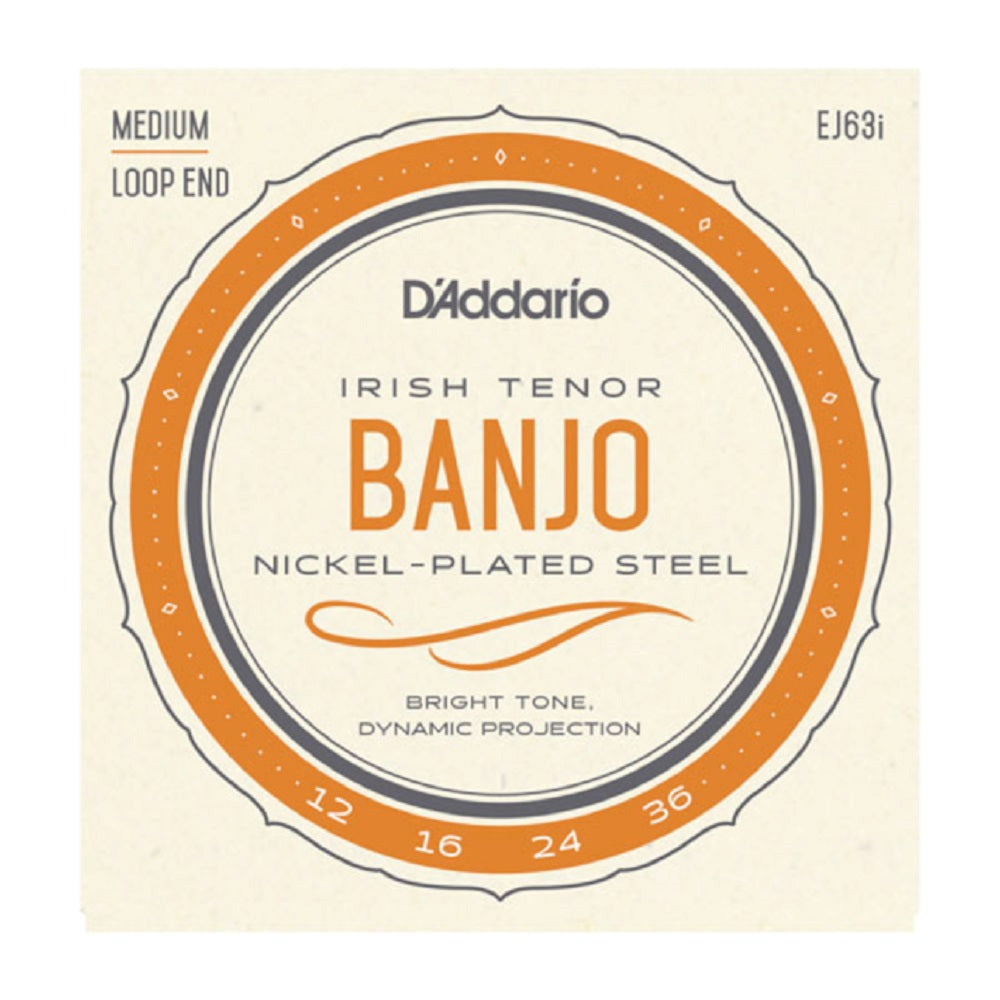 D'Addario EJ63i Irish Banjo 12-36 - Folk Strings available at Foulds Guitars Derby