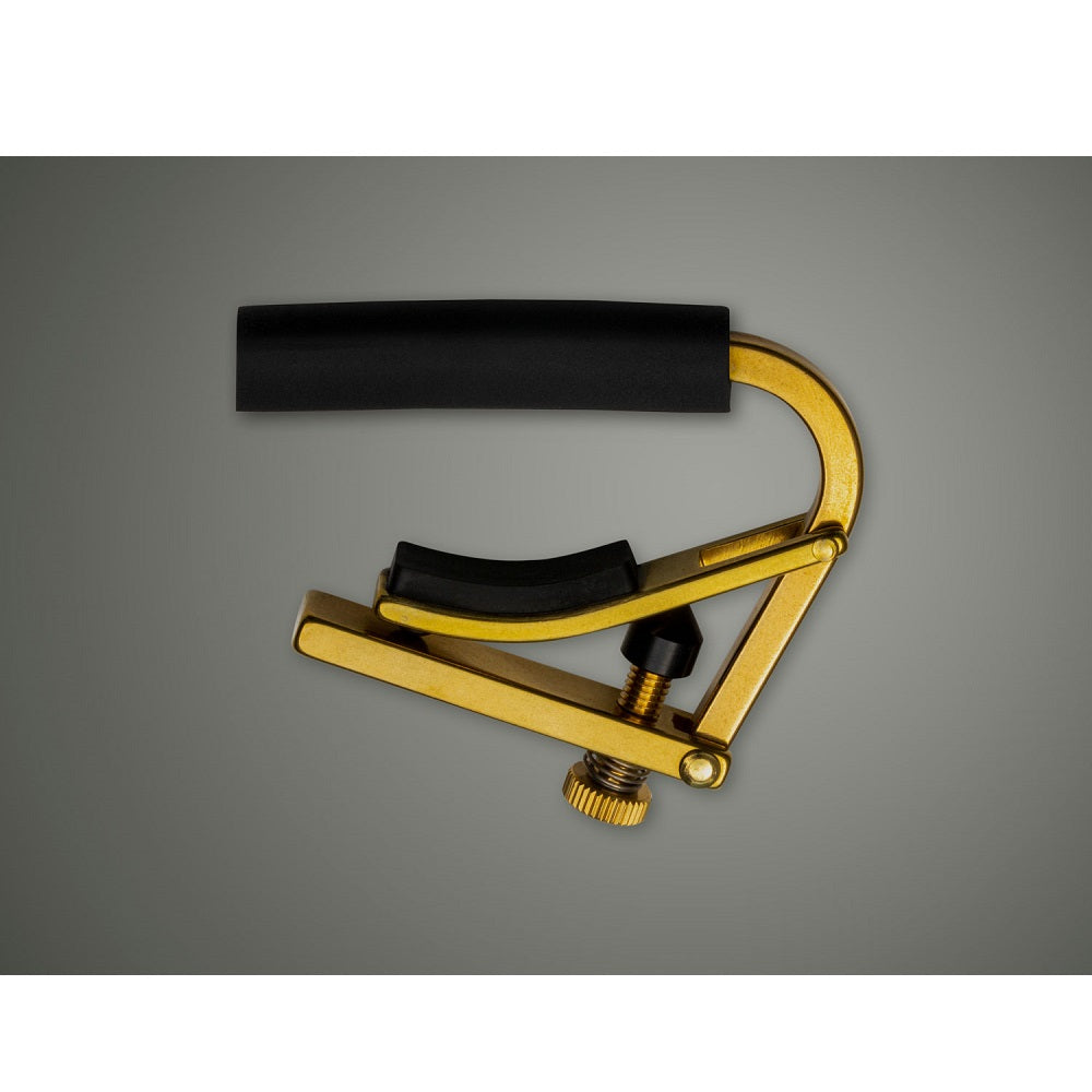Shubb C1B Capo Brass - Capos available at Foulds Guitars Derby