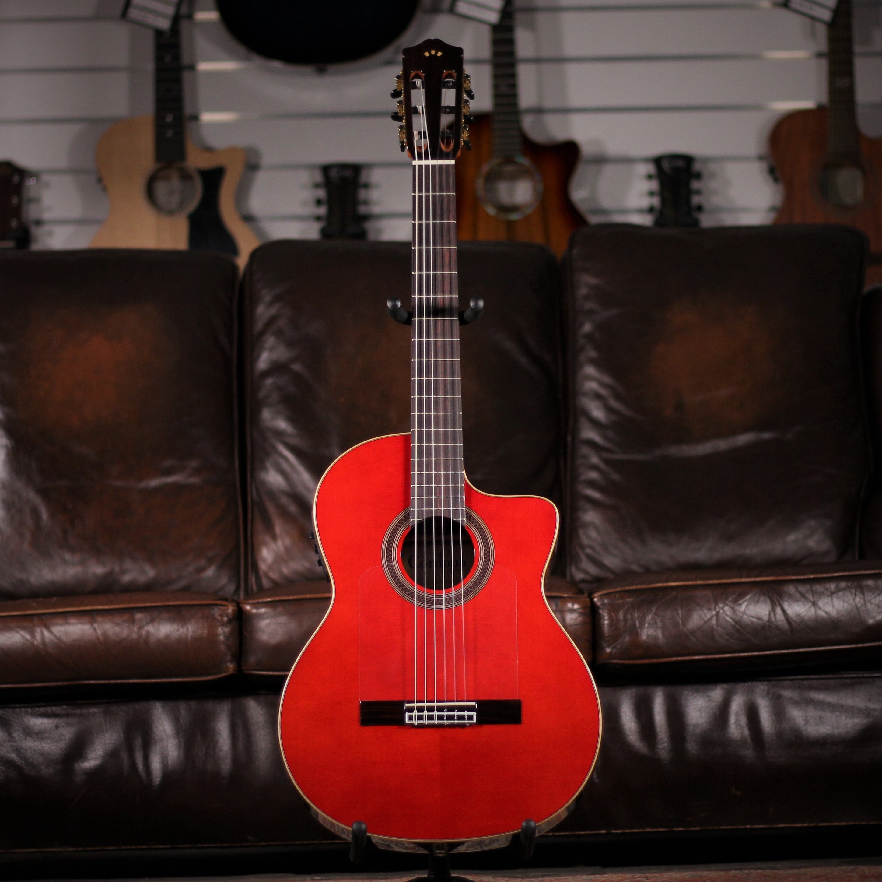 Cordoba GK Studio Negra Wine Red – Foulds Guitars