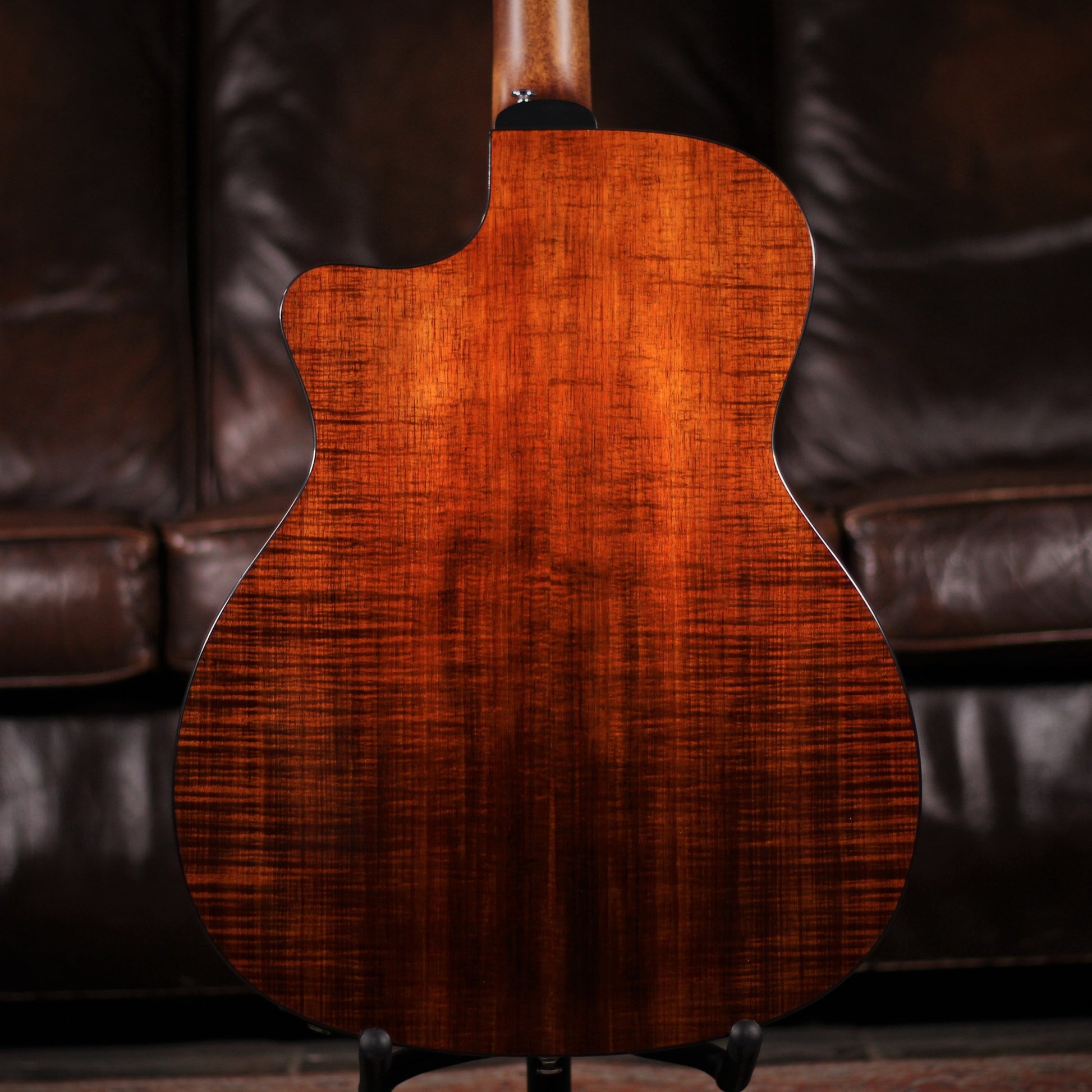 Guild OM-260CE Deluxe Blackwood rear