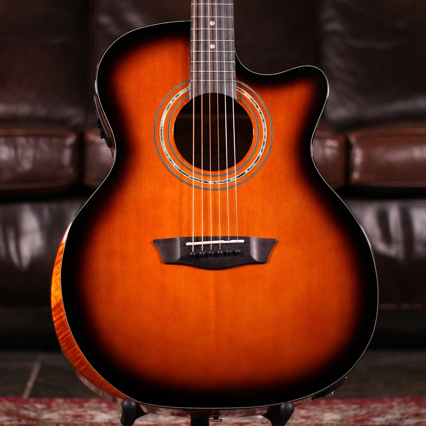 Washburn WCG10CE