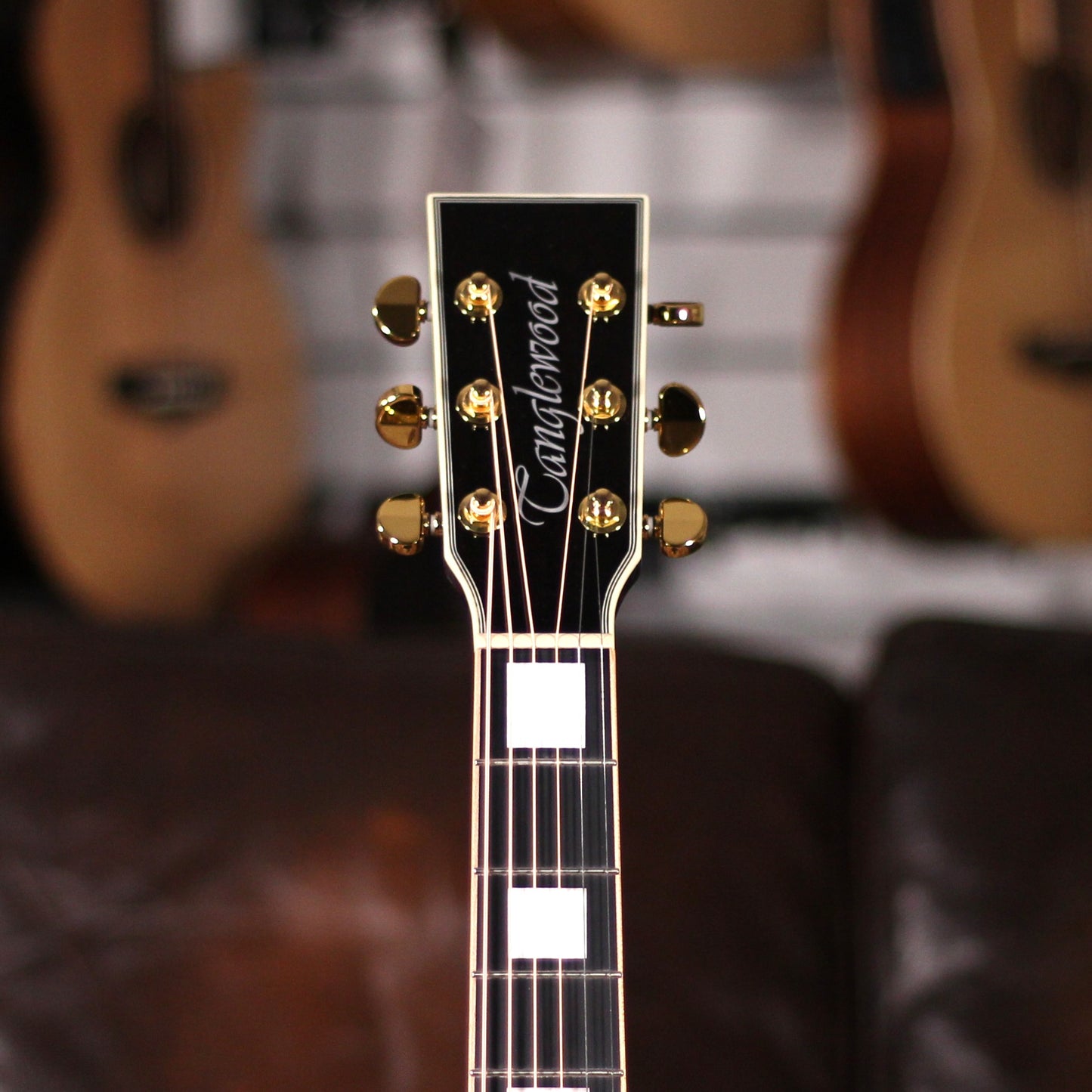 Tanglewood Electro Acoustic P-TW7 EBK