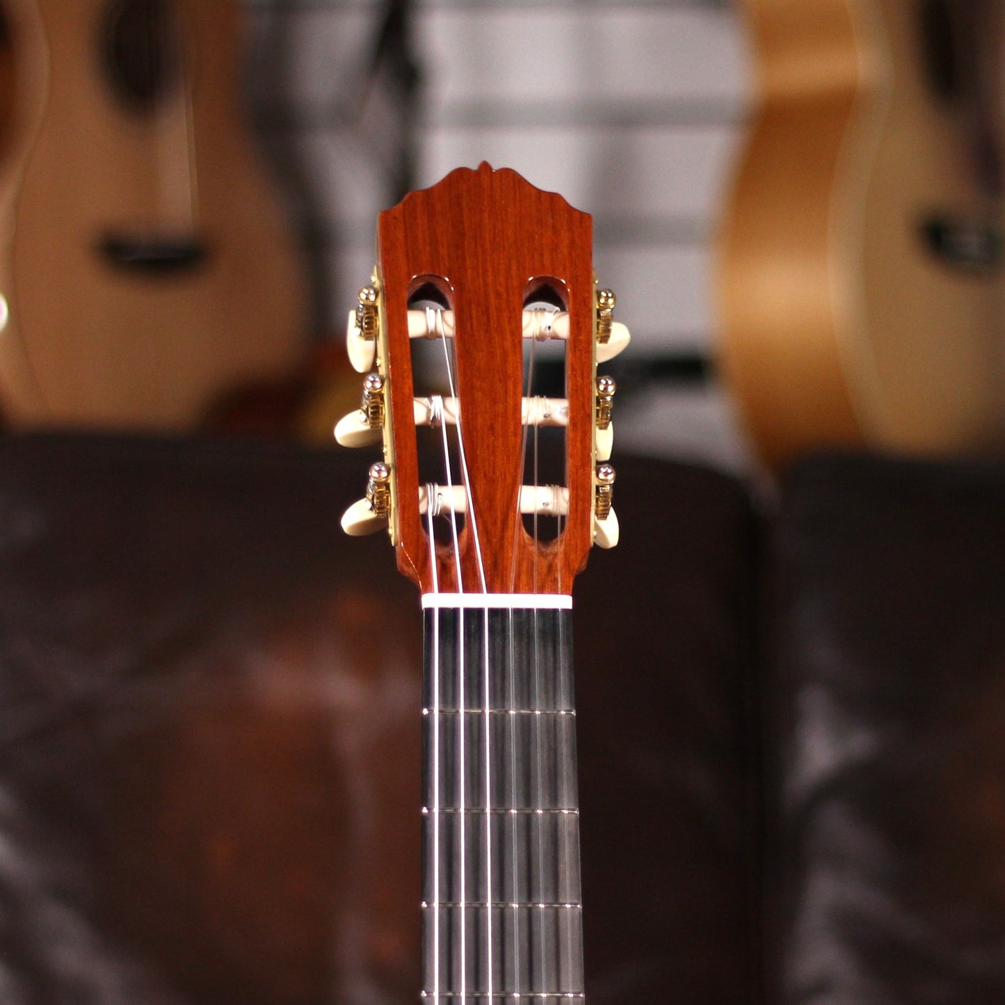 Cordoba Esteso SP Luthier Select