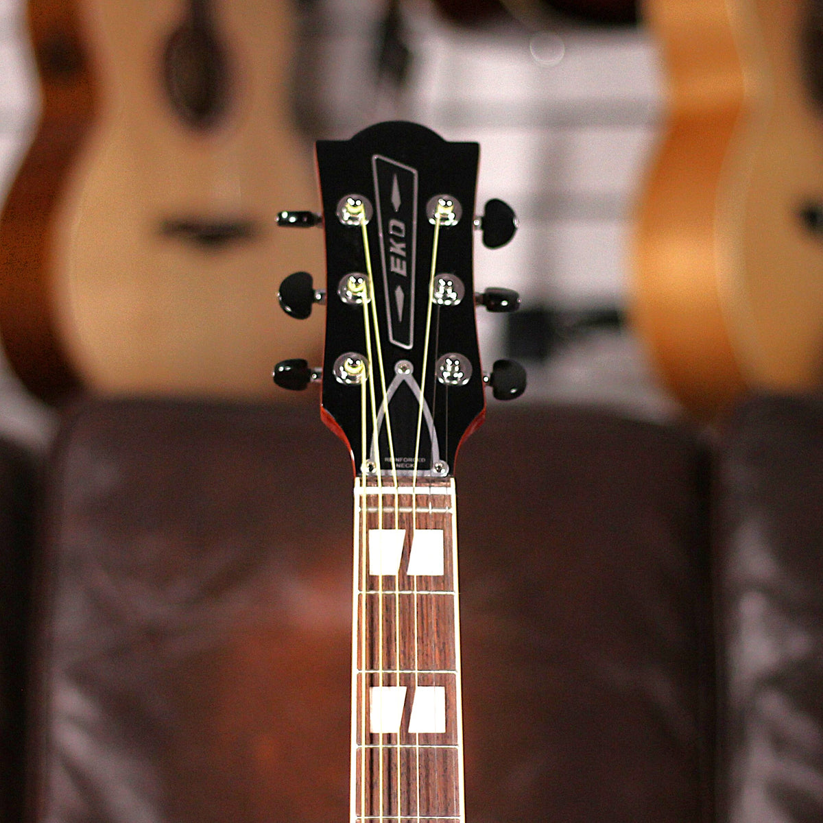 Eko Ranger VI VR EQ Honey Burst