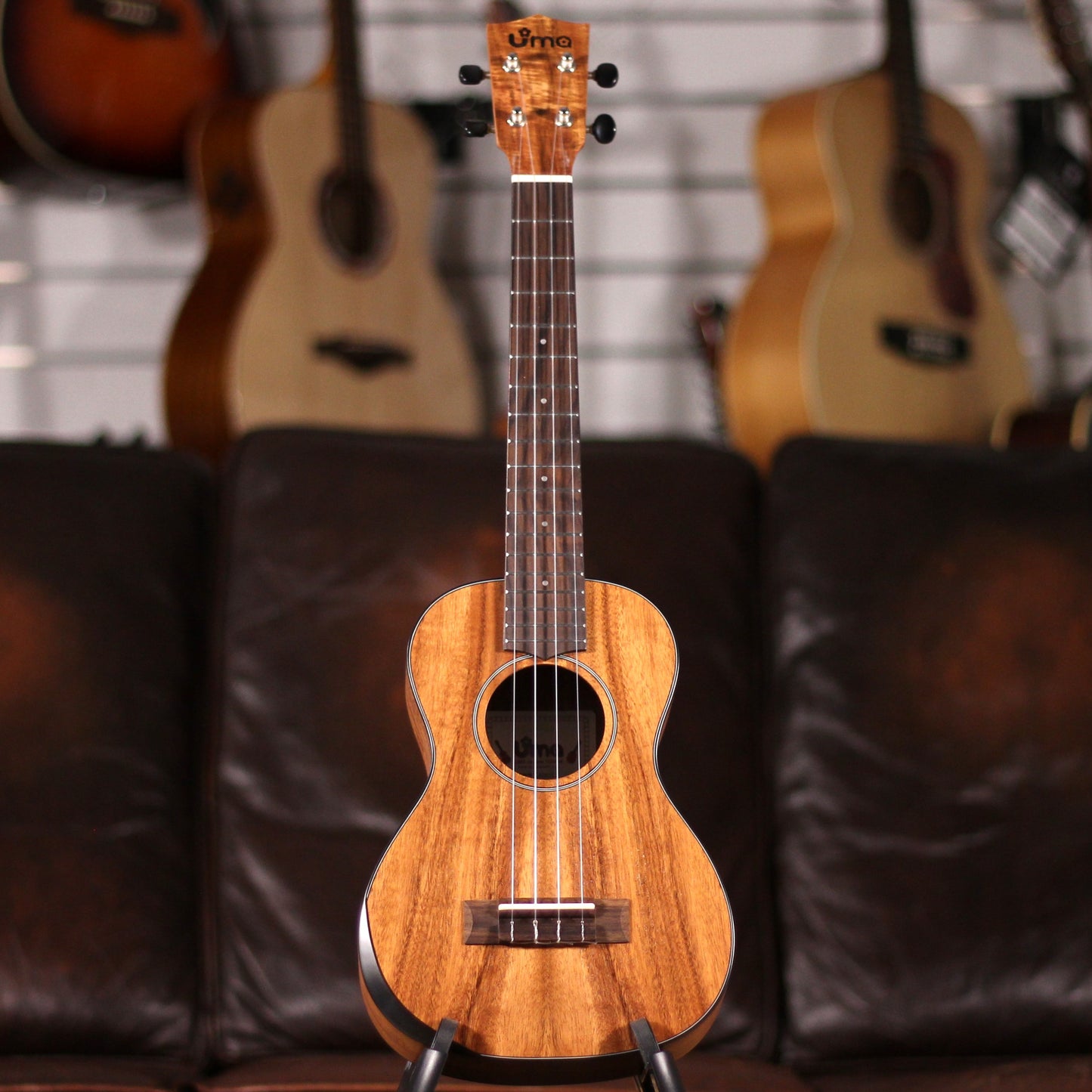 UMA Baby-T Acacia Tenor Comfort