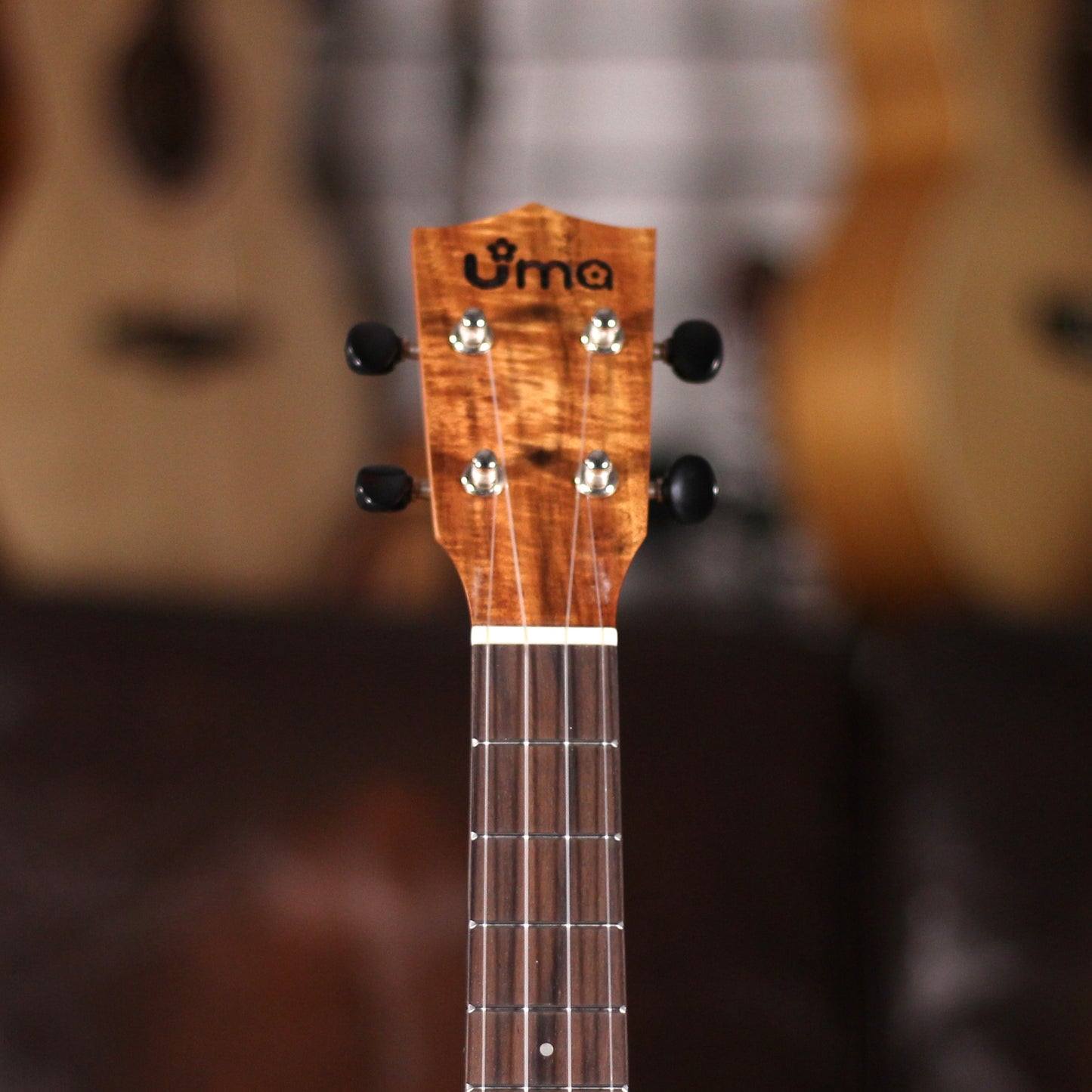 UMA Baby-T Acacia Tenor Comfort
