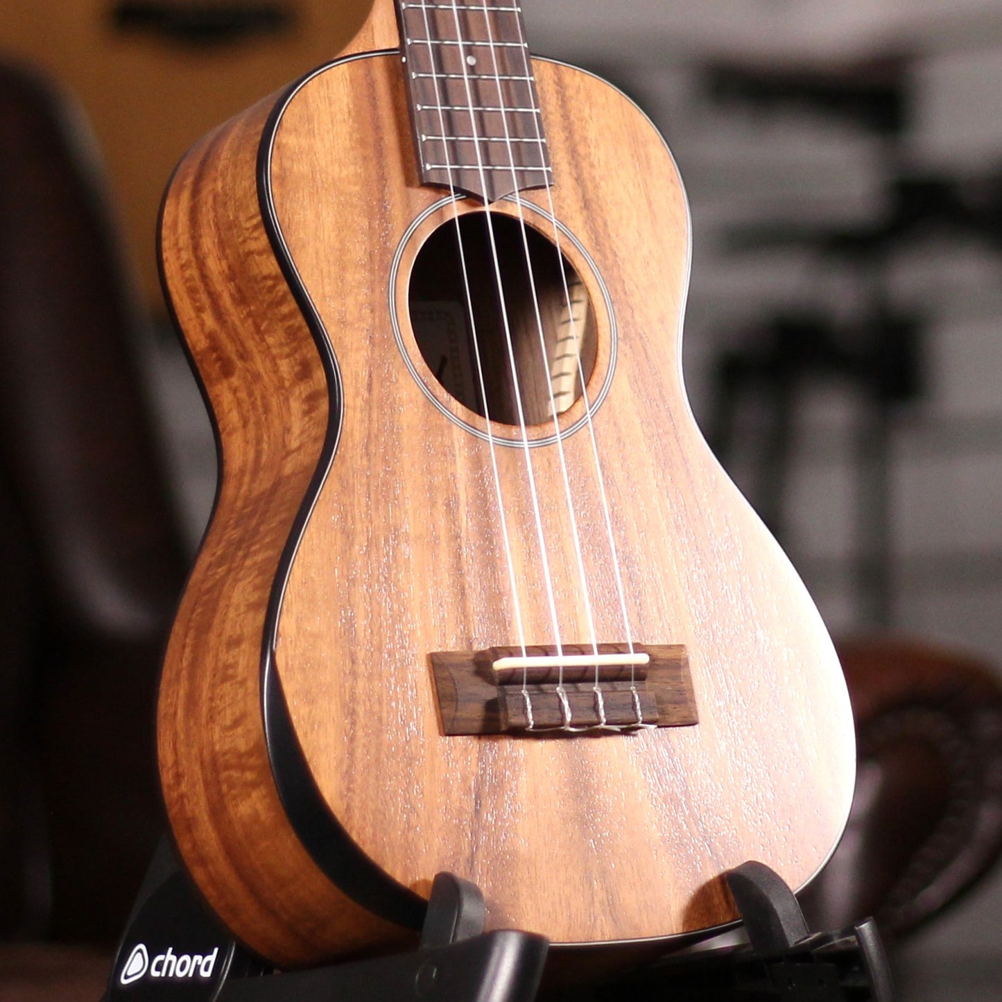 UMA Baby-T Acacia Tenor Comfort