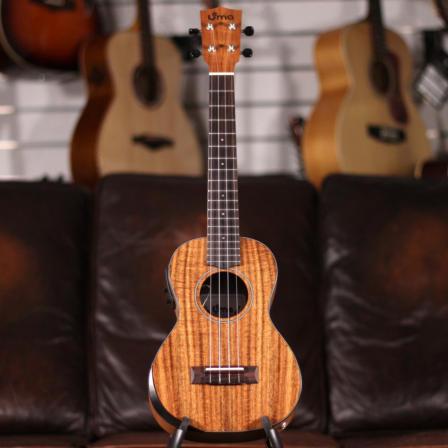 UMA Baby-T EQ Acacia Tenor Comfort