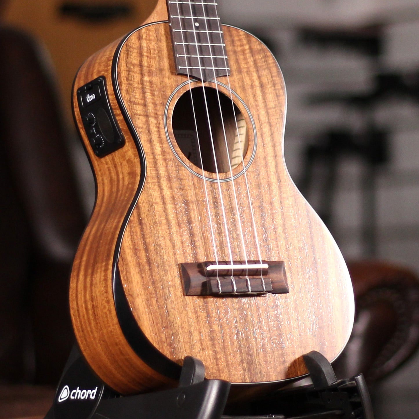 UMA UK-05SC Solid MH Top Concert