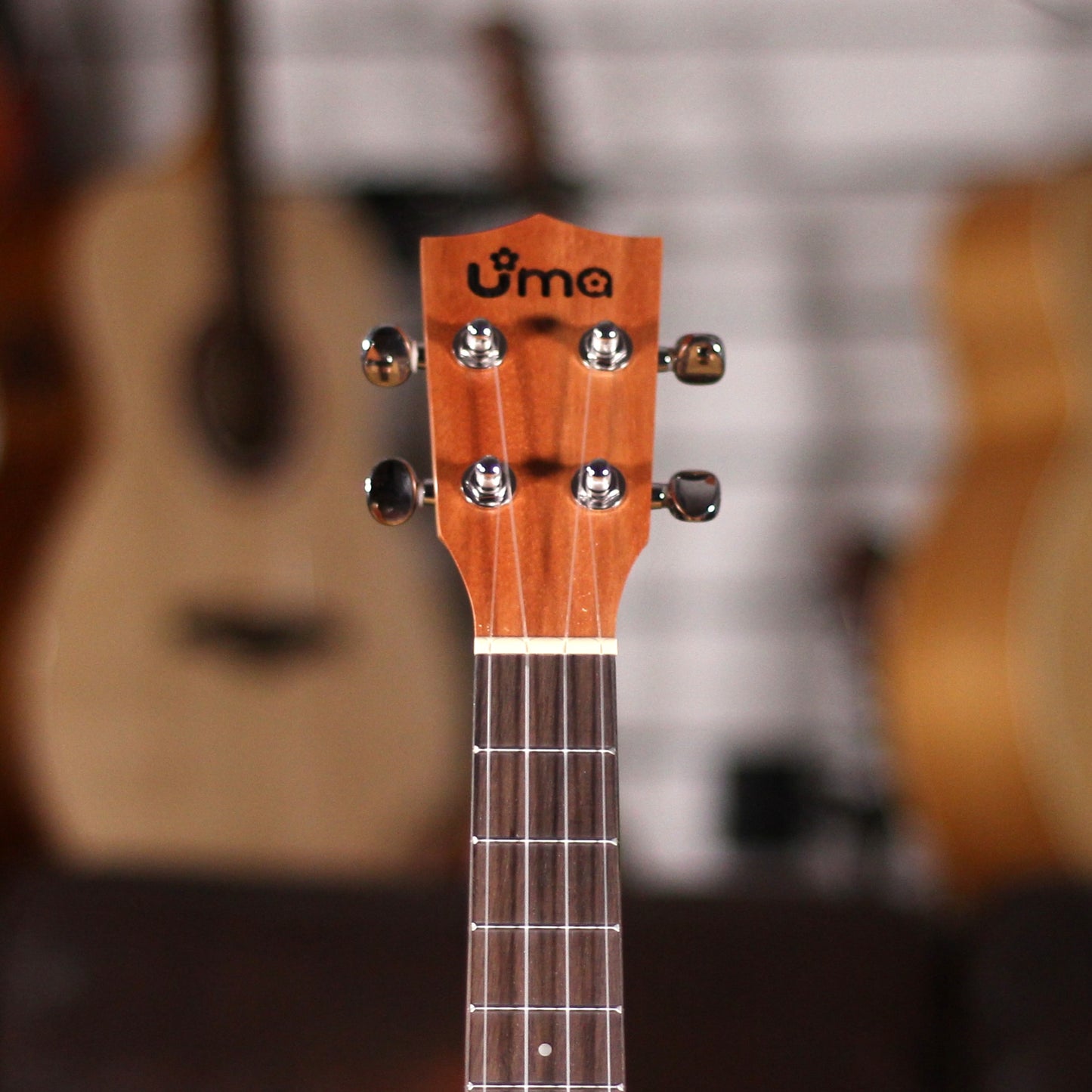 UMA UK-05ST Solid MH Top Tenor