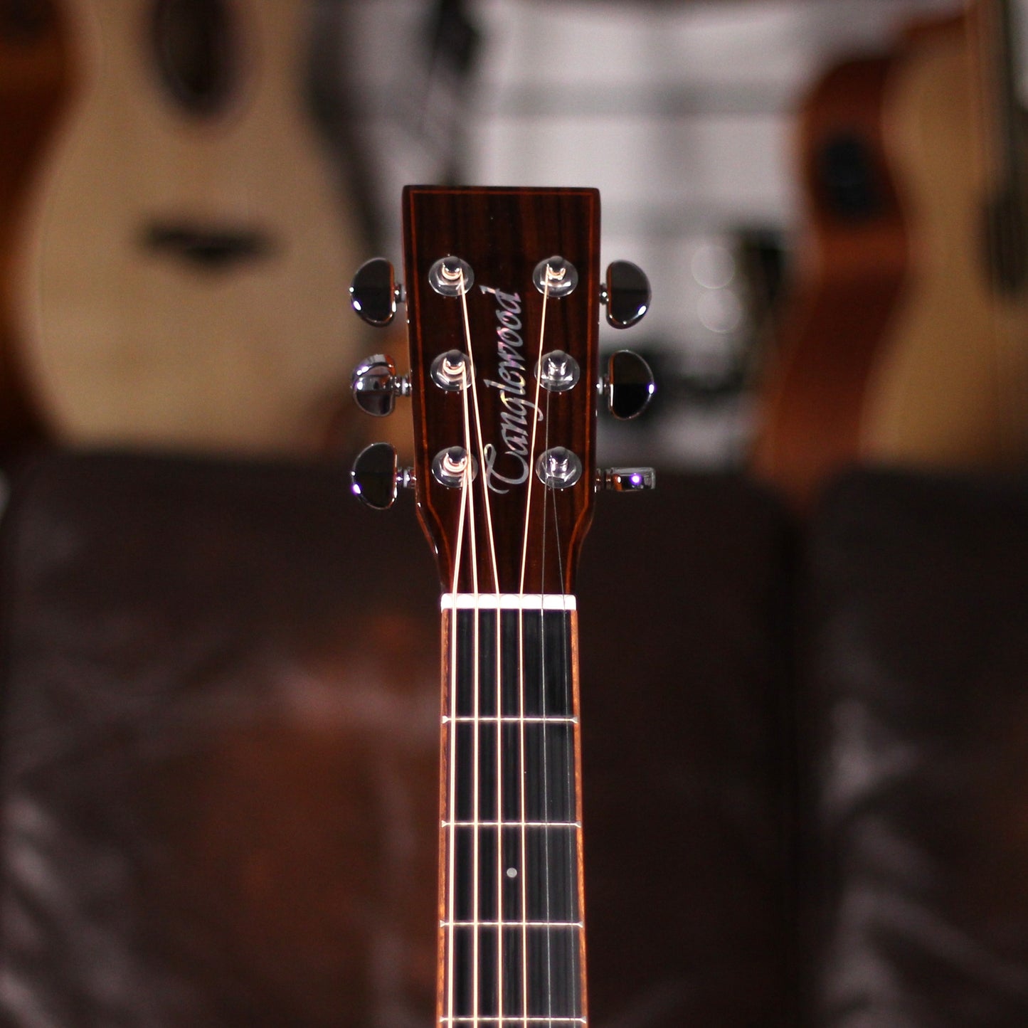 Tanglewood TRS4CE Rosewood Smart Super Folk