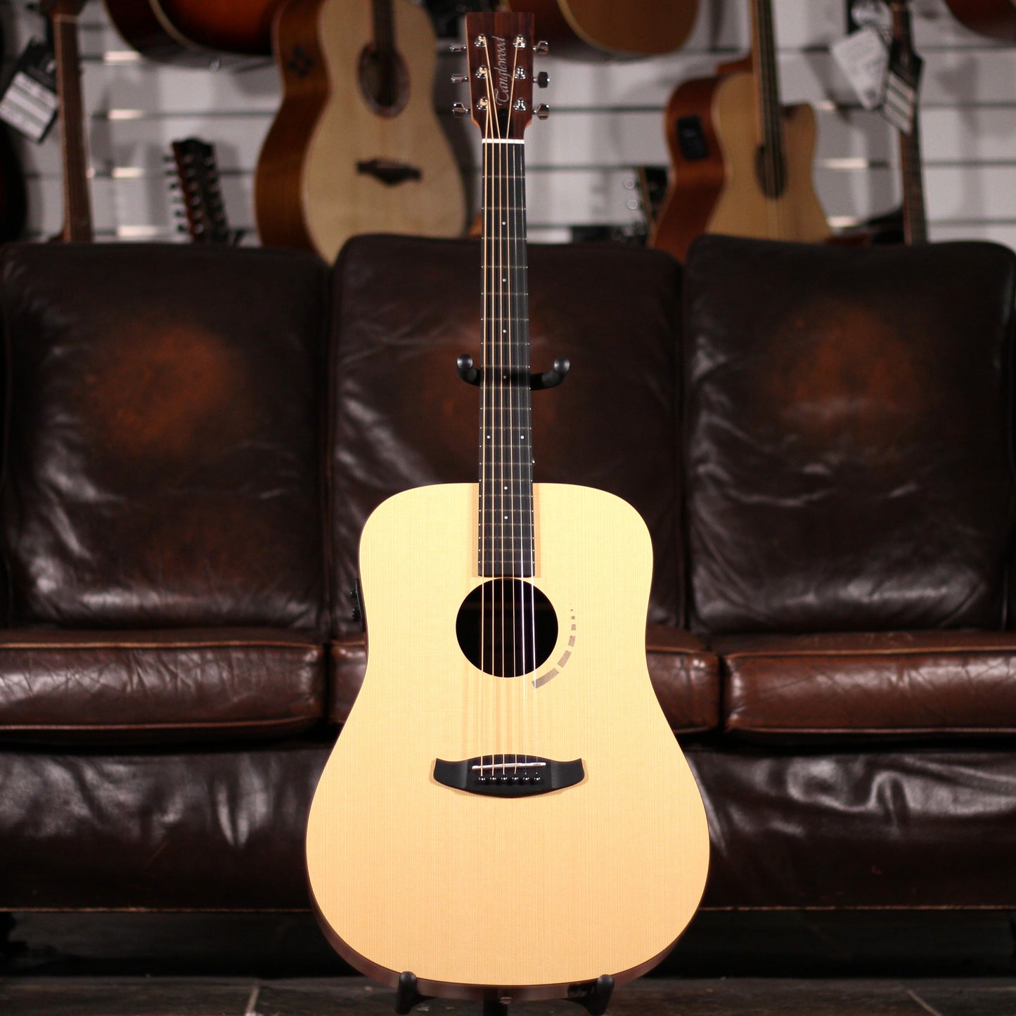 Tanglewood TM5E