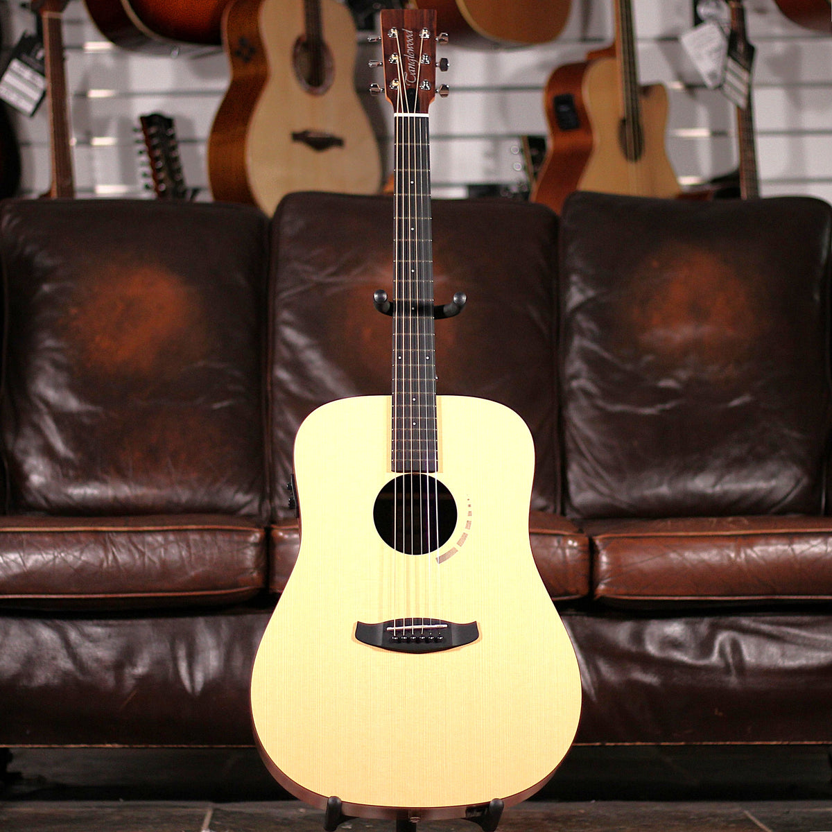 Tanglewood TM5E