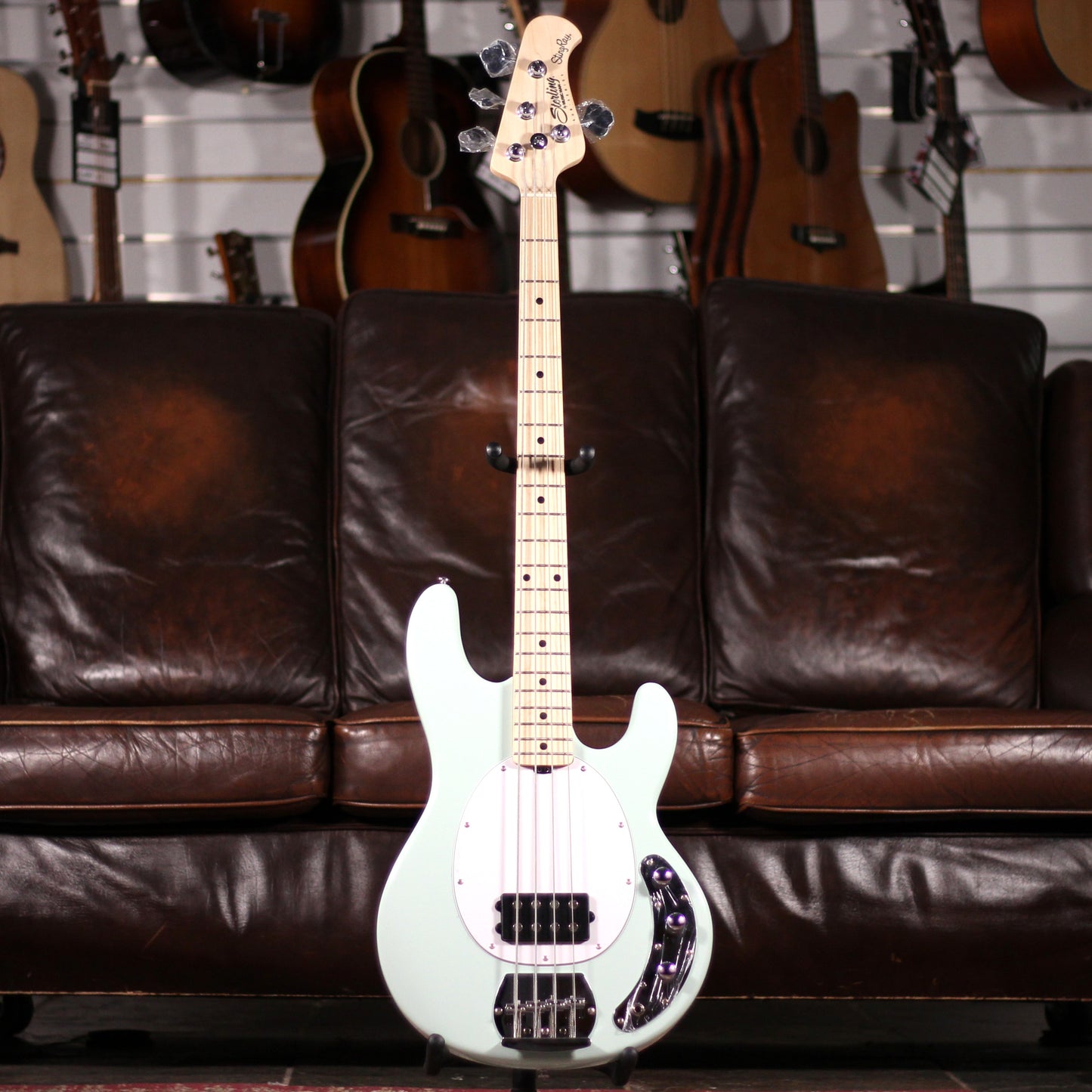 Sterling Music Man Stingray RAY4 Green Maple