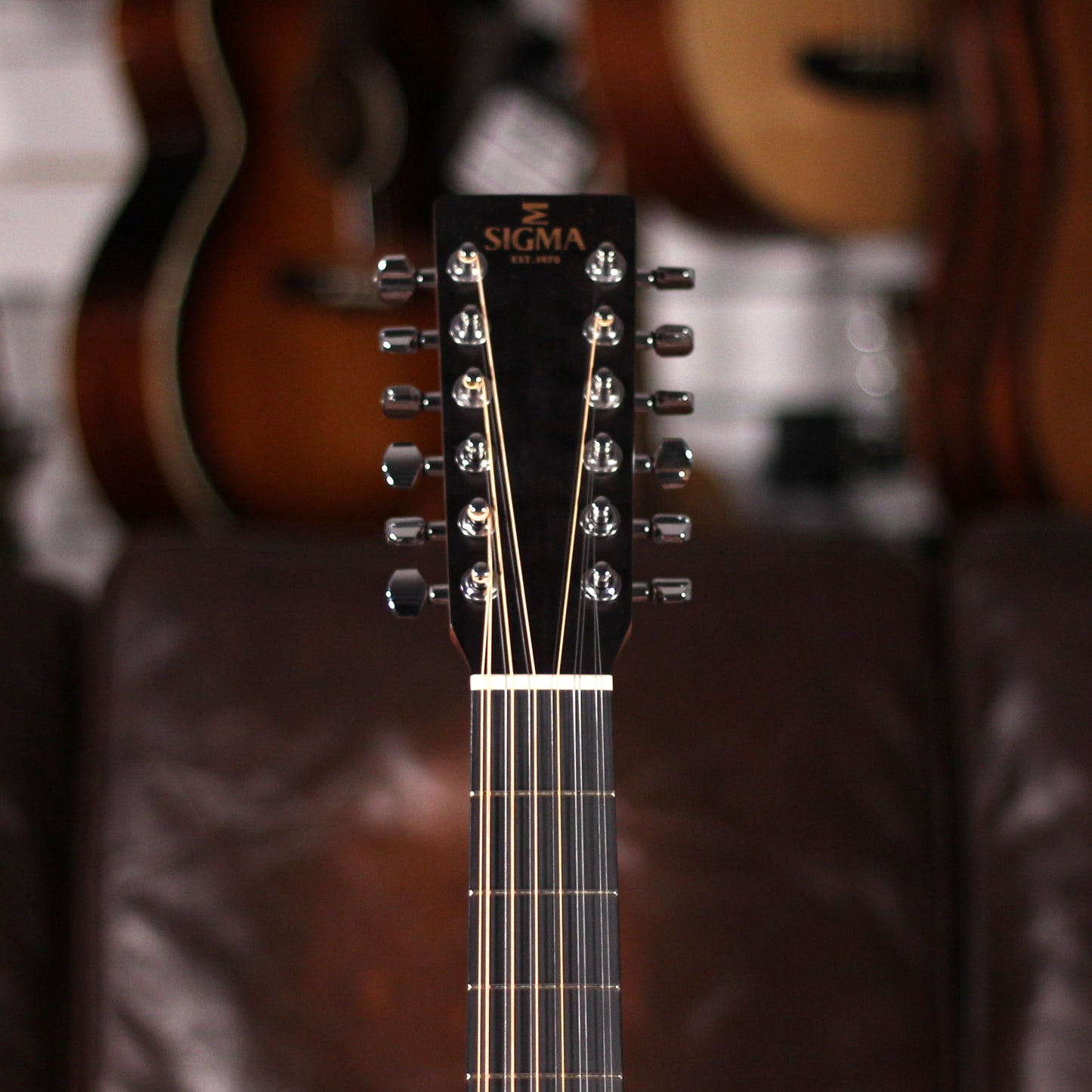Sigma 1 Series DM12-1 12 String