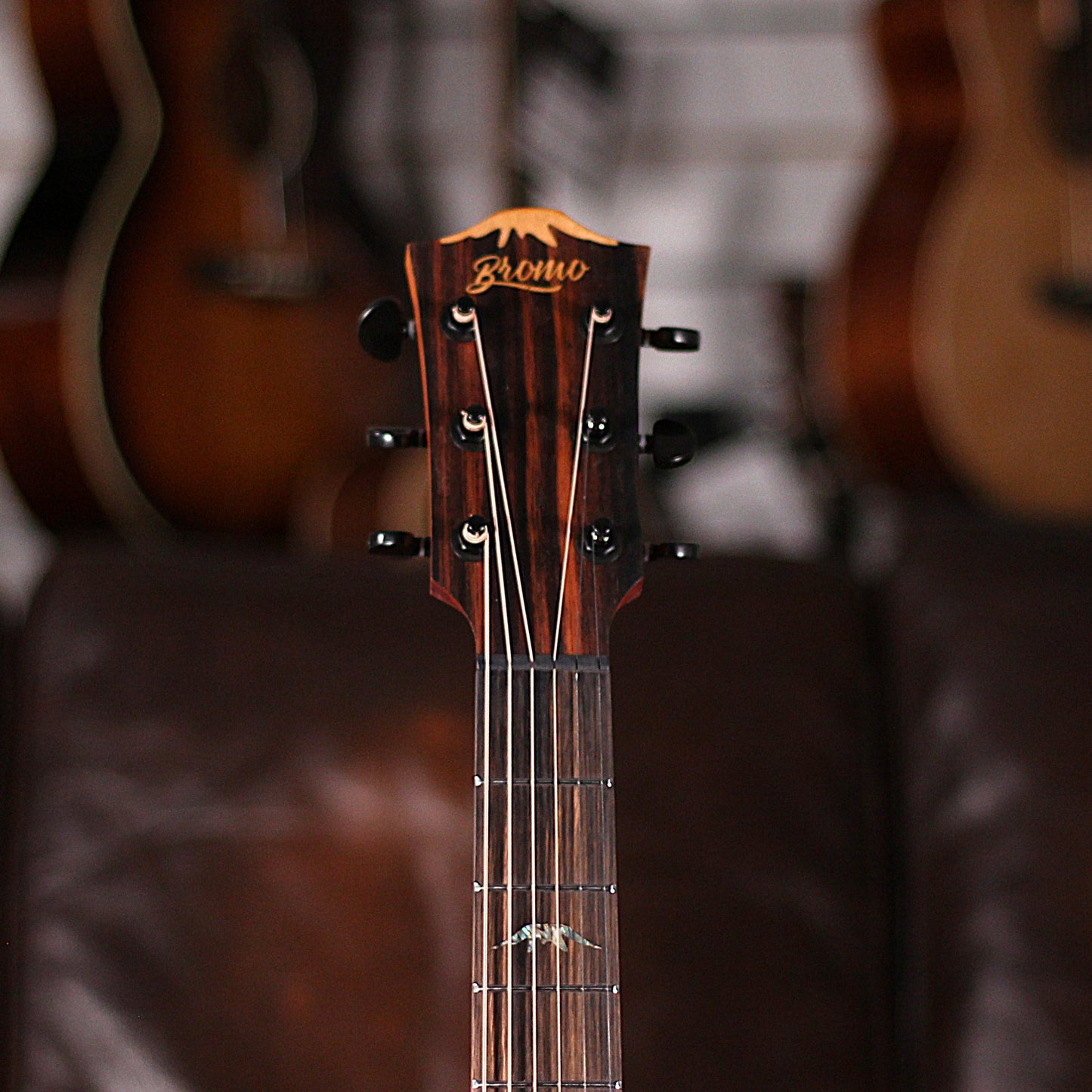 Bromo Tahoma Electro Acoustic Hillside Cutaway BAT4MCE