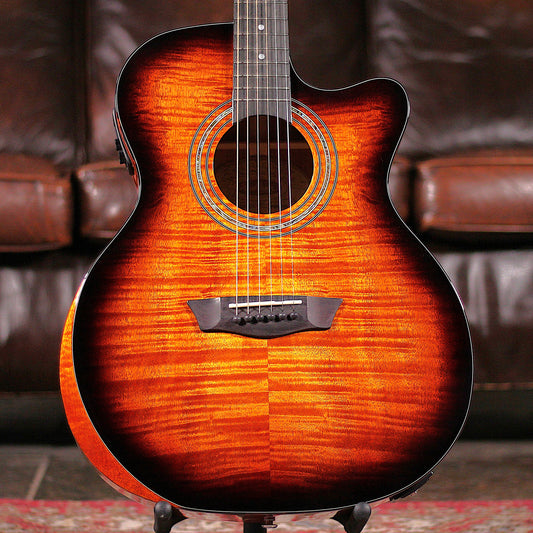 Washburn WCG12FCE