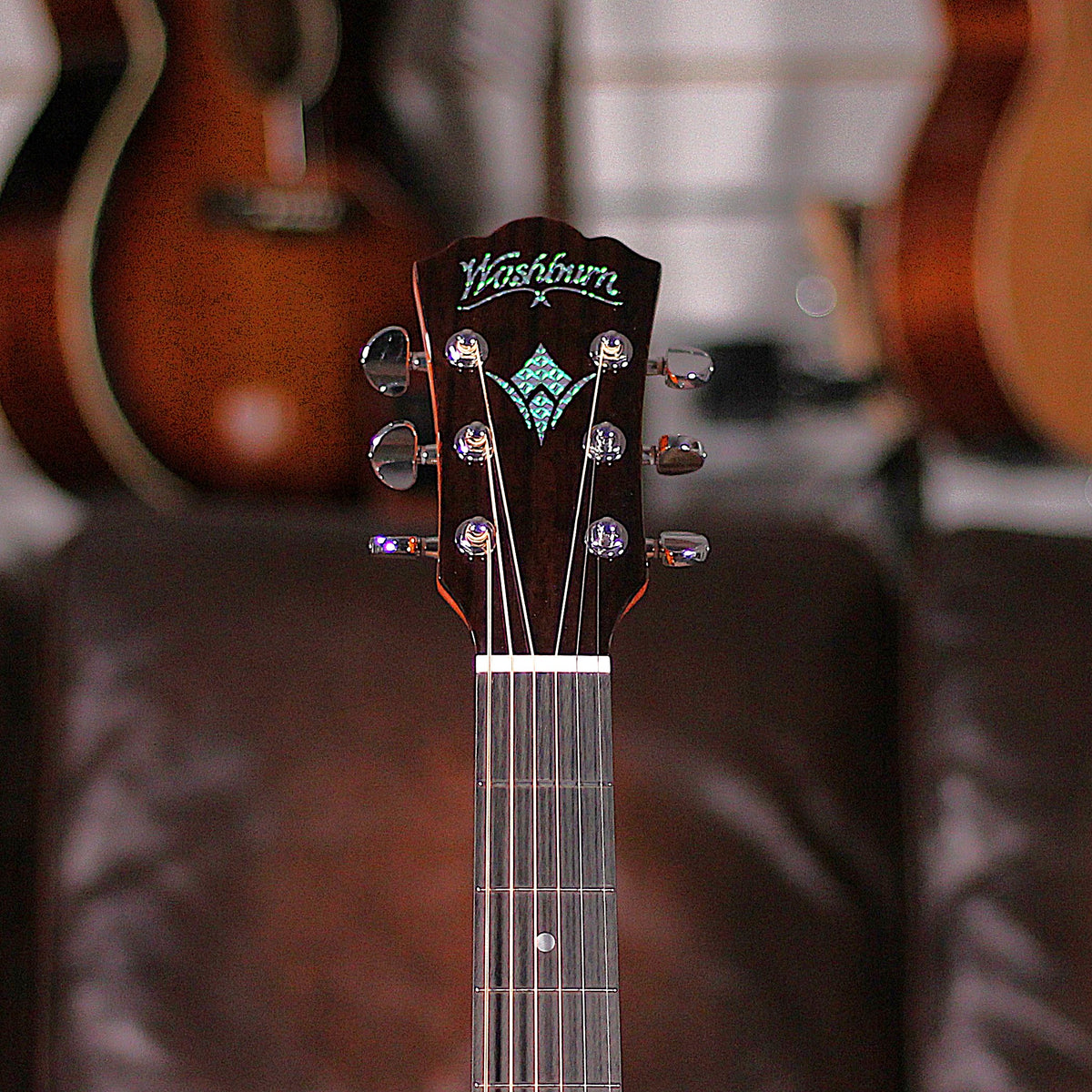 Washburn WCG12FCE