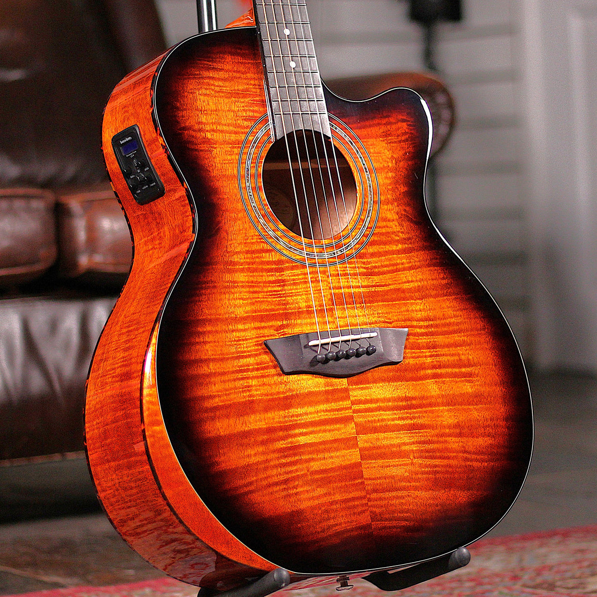 Washburn WCG12FCE