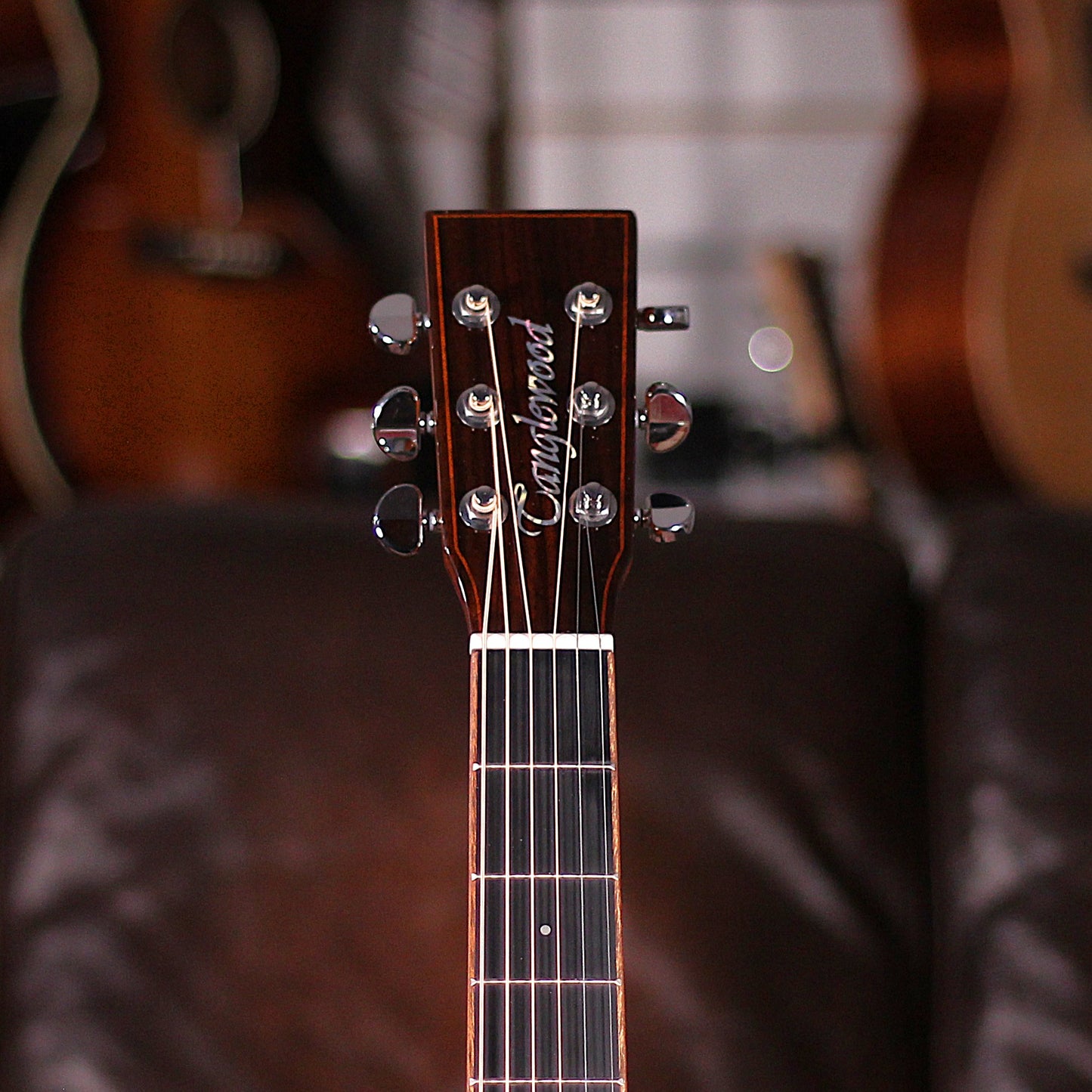 Tanglewood TRS4CE Rosewood Smart Super Folk