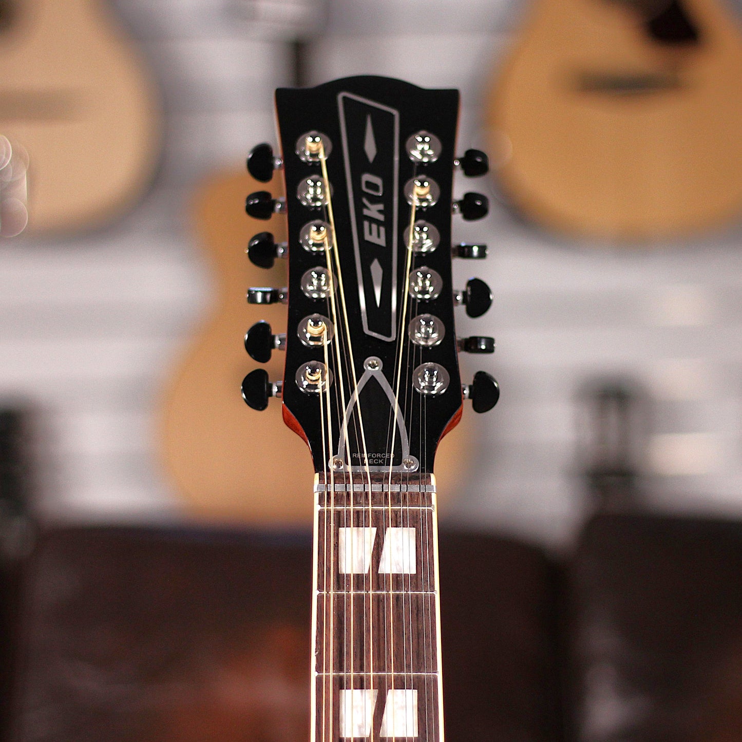 Eko Ranger 12 VR Honey Burst EQ