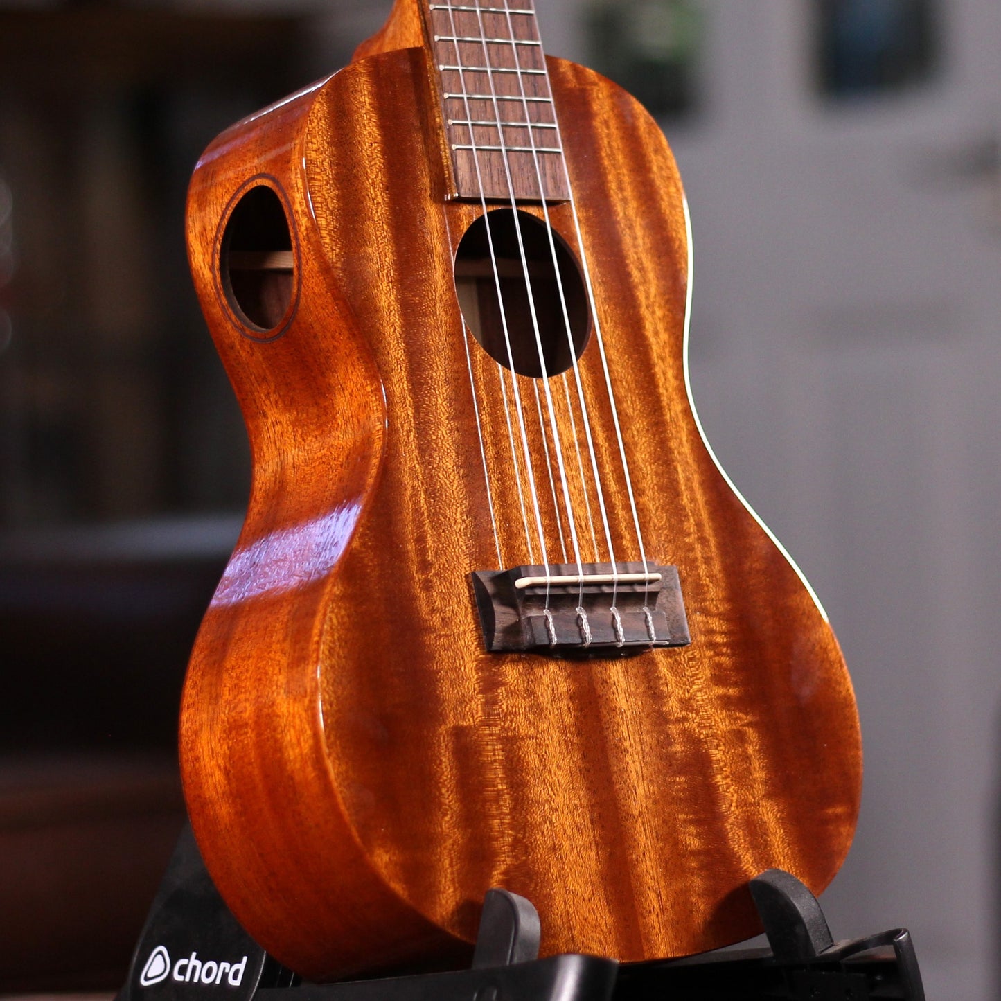 nan - nan available at Foulds Guitars Derby