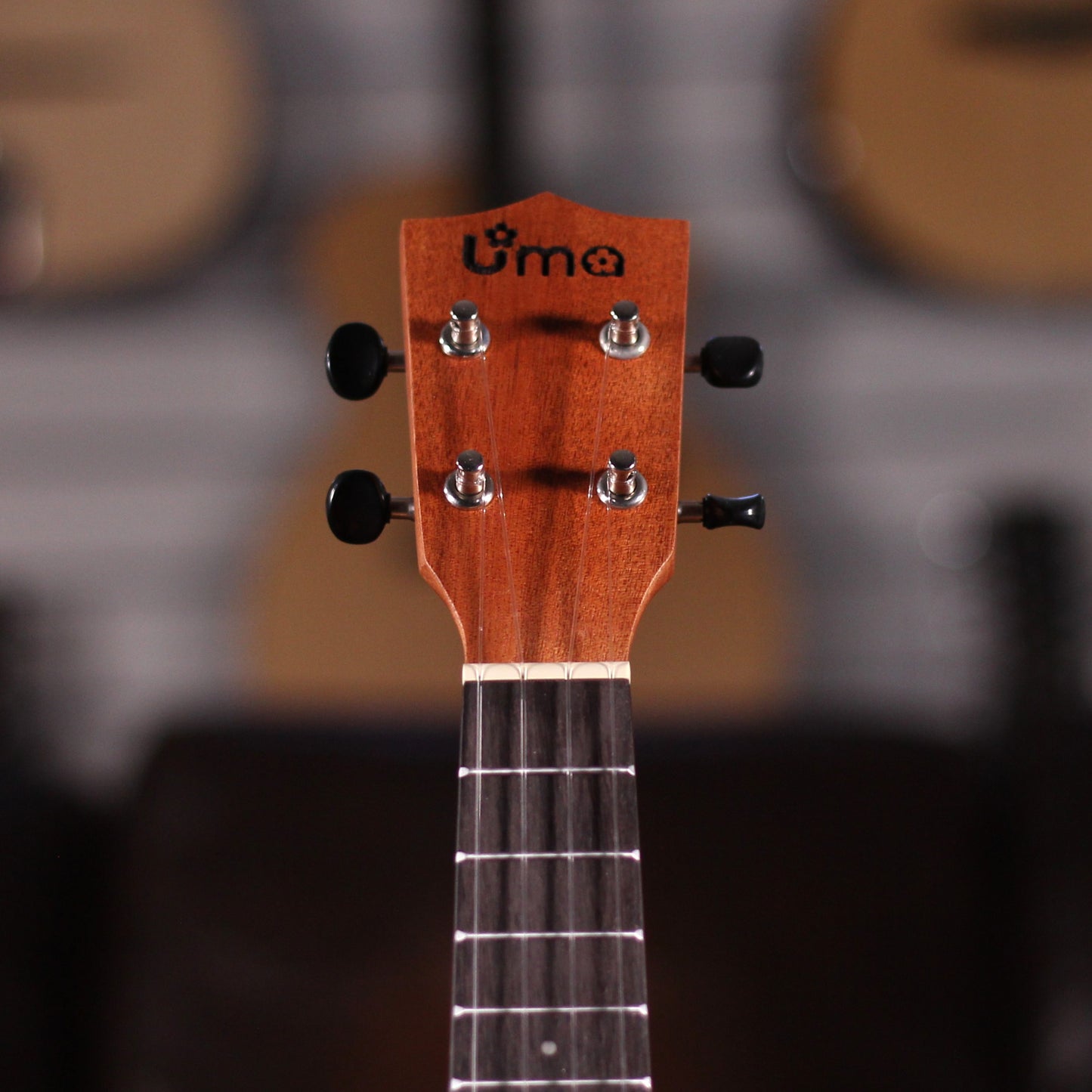 nan - nan available at Foulds Guitars Derby