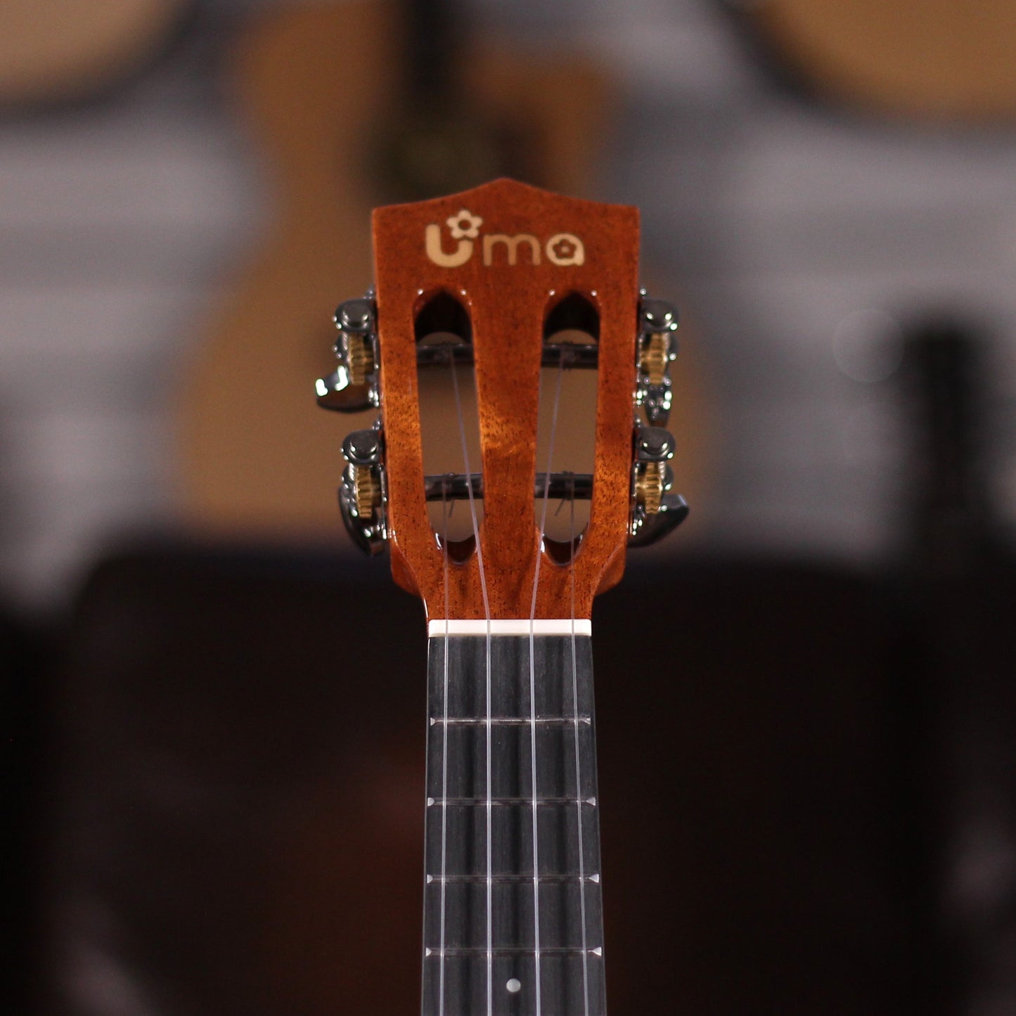 nan - nan available at Foulds Guitars Derby