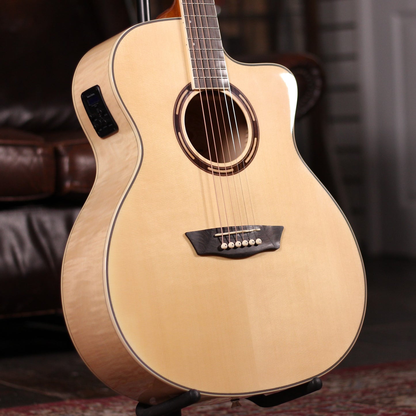 Washburn AG40CE
