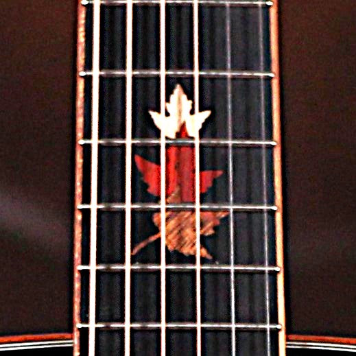 Tanglewood TWX1EK