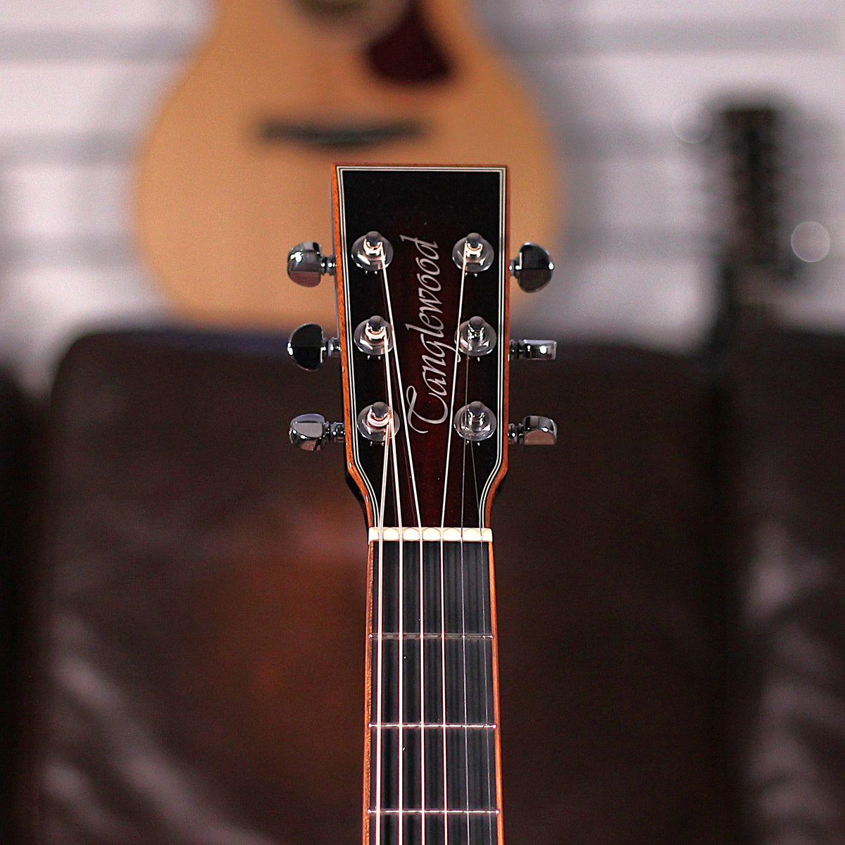 Tanglewood TWX1EK