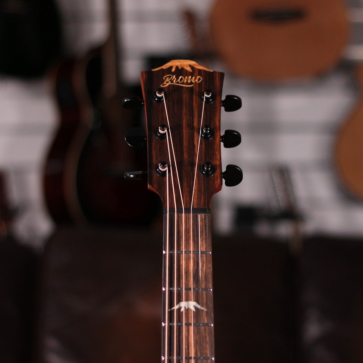 Bromo Tahoma Electro Acoustic Hillside Cutaway BAT4CE