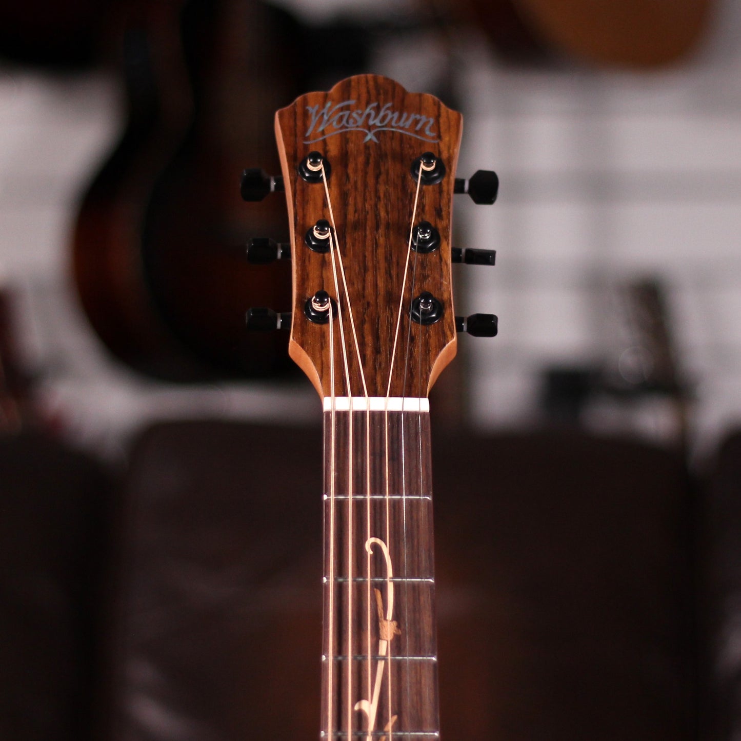Washburn Bella Tono VITE S9V