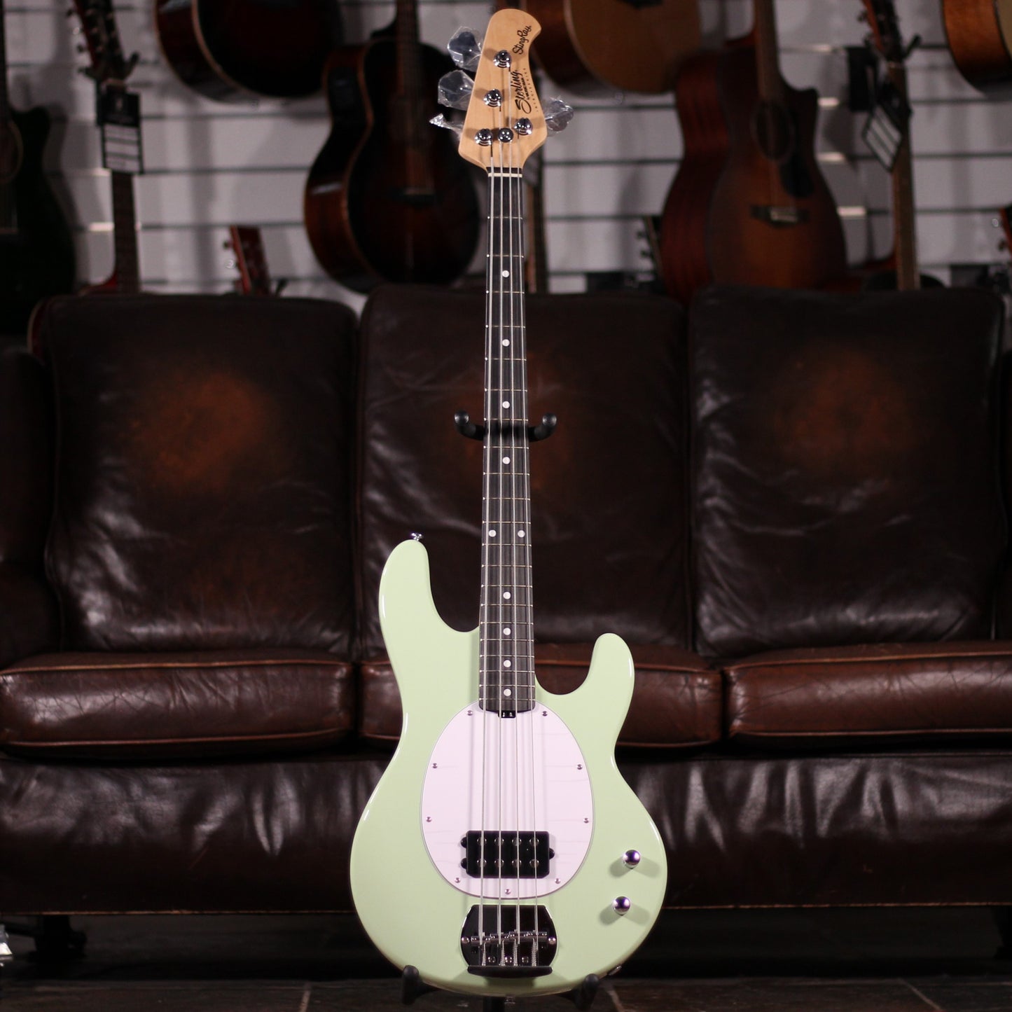 Sterling Music Man Stringray RAY2 Misty Green