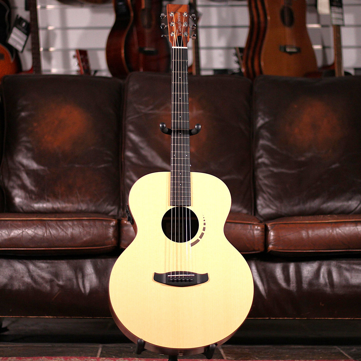 Tanglewood TM3E