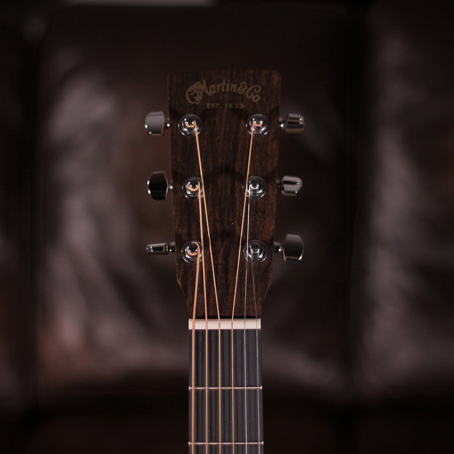 Martin D-10E Sapele