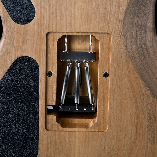 Washburn N4 Vintage Nuno Bettencourt Signature